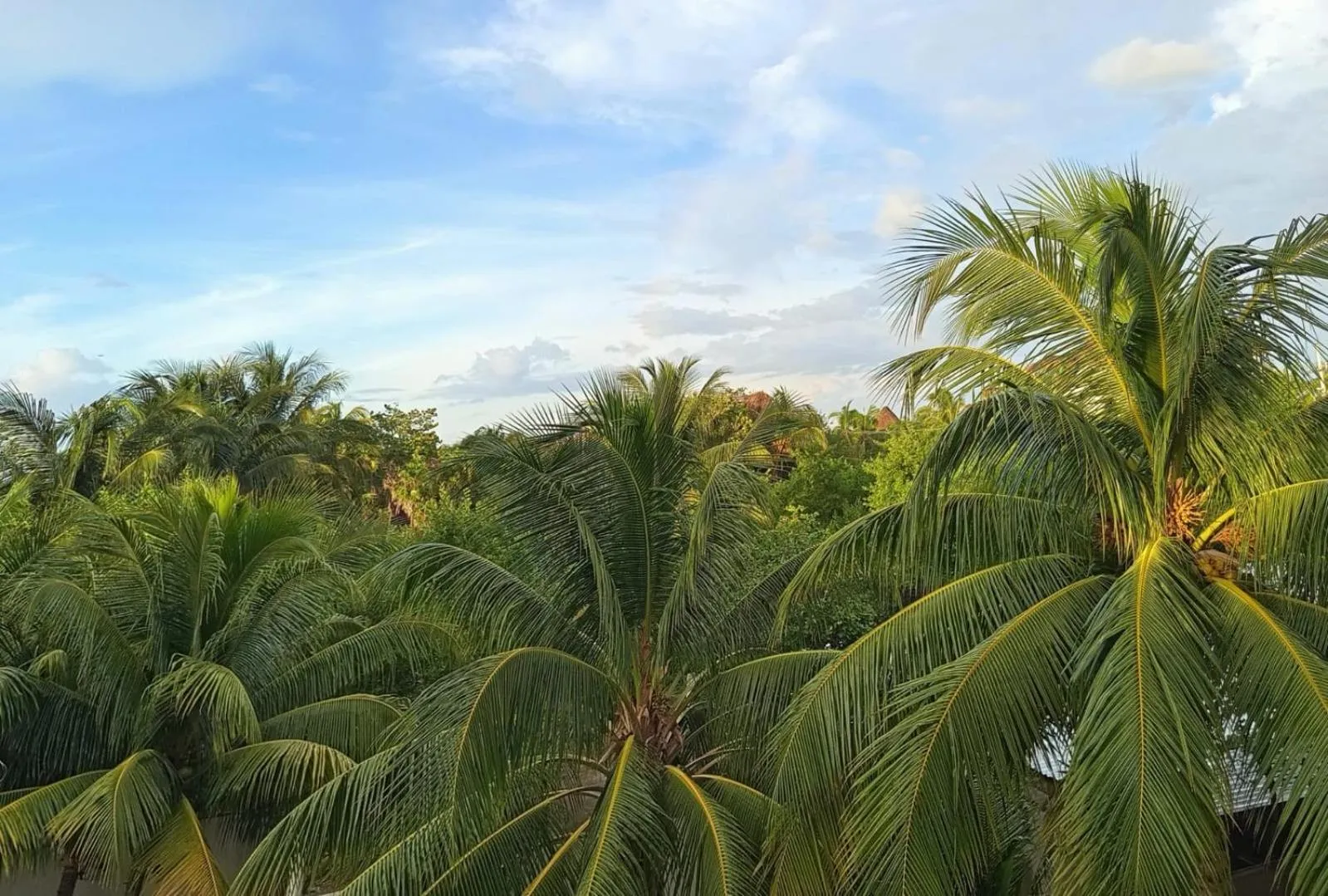 Day in Casa aloha-Isla Holbox