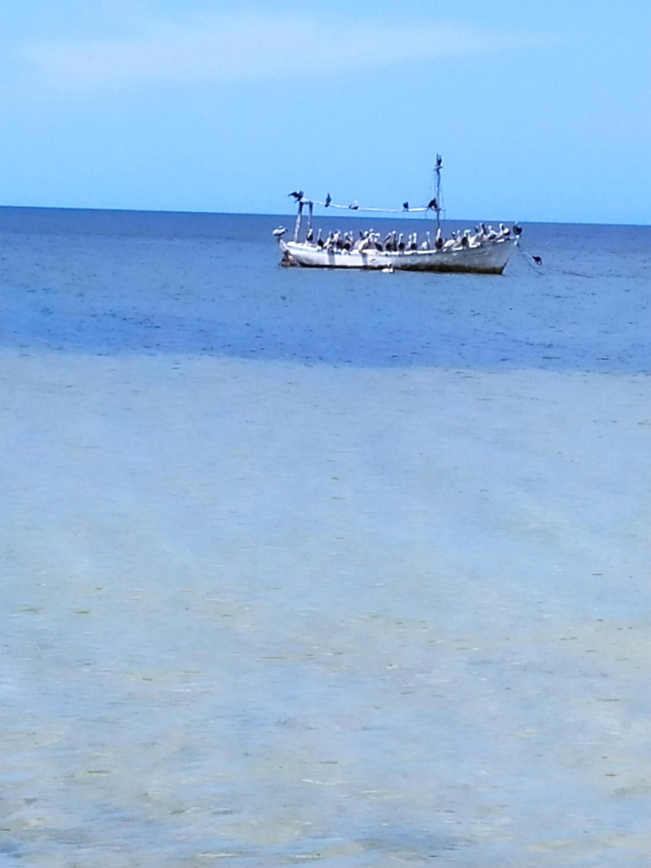 Natural landscape in Casa aloha-Isla Holbox