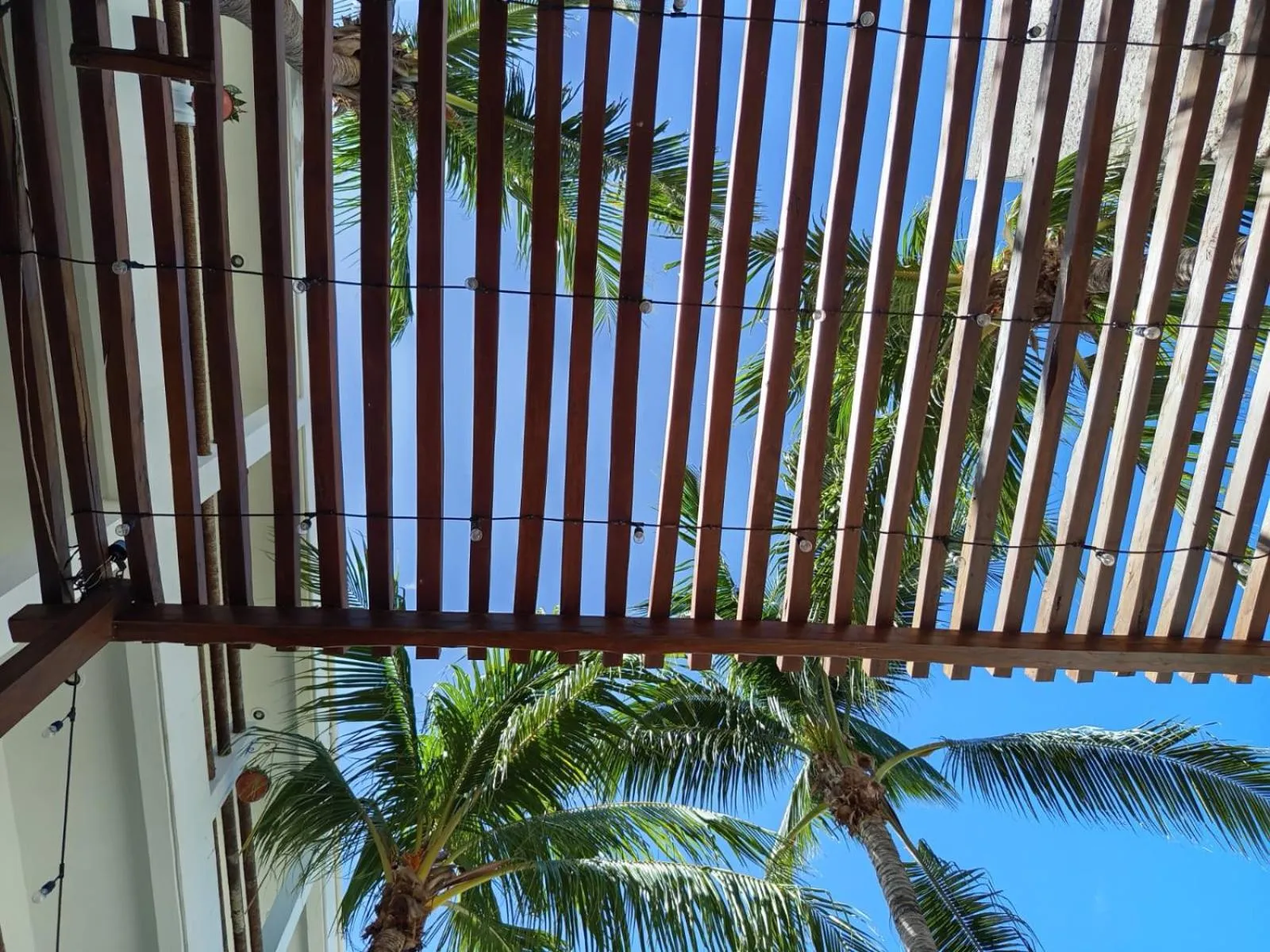 Casa aloha-Isla Holbox