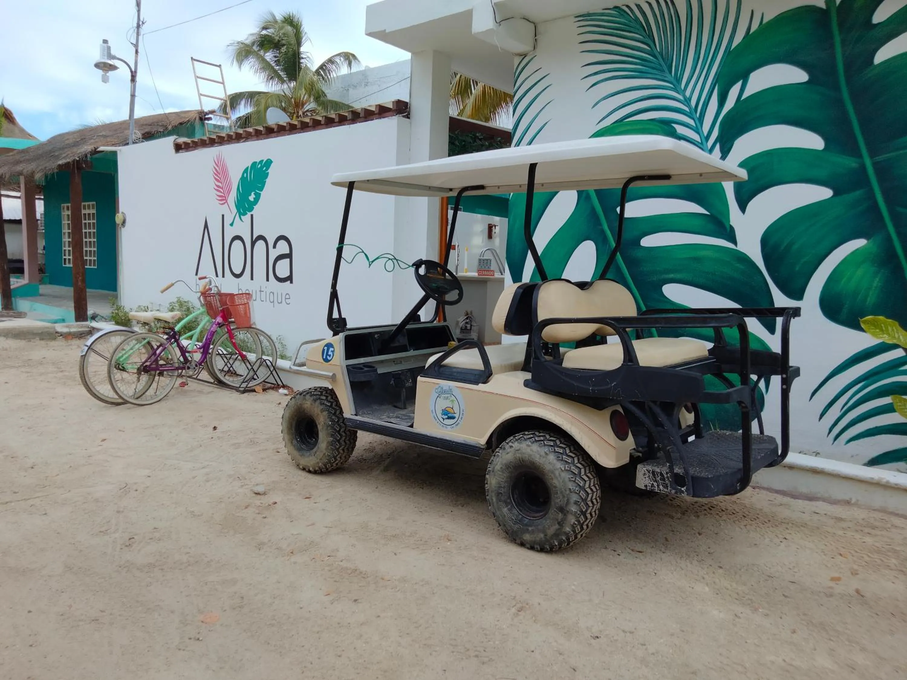 Activities in Casa aloha-Isla Holbox