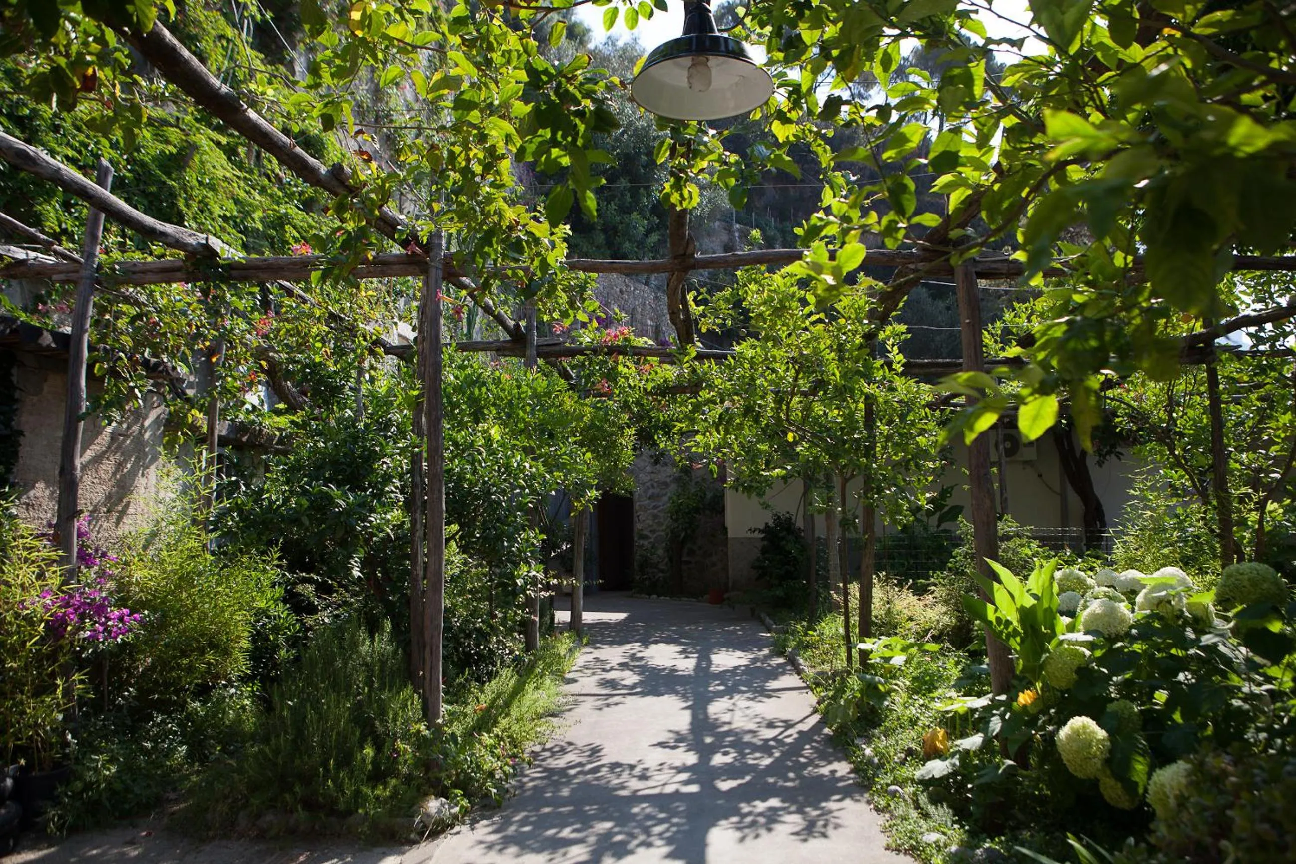 Garden in Hotel Pupetto