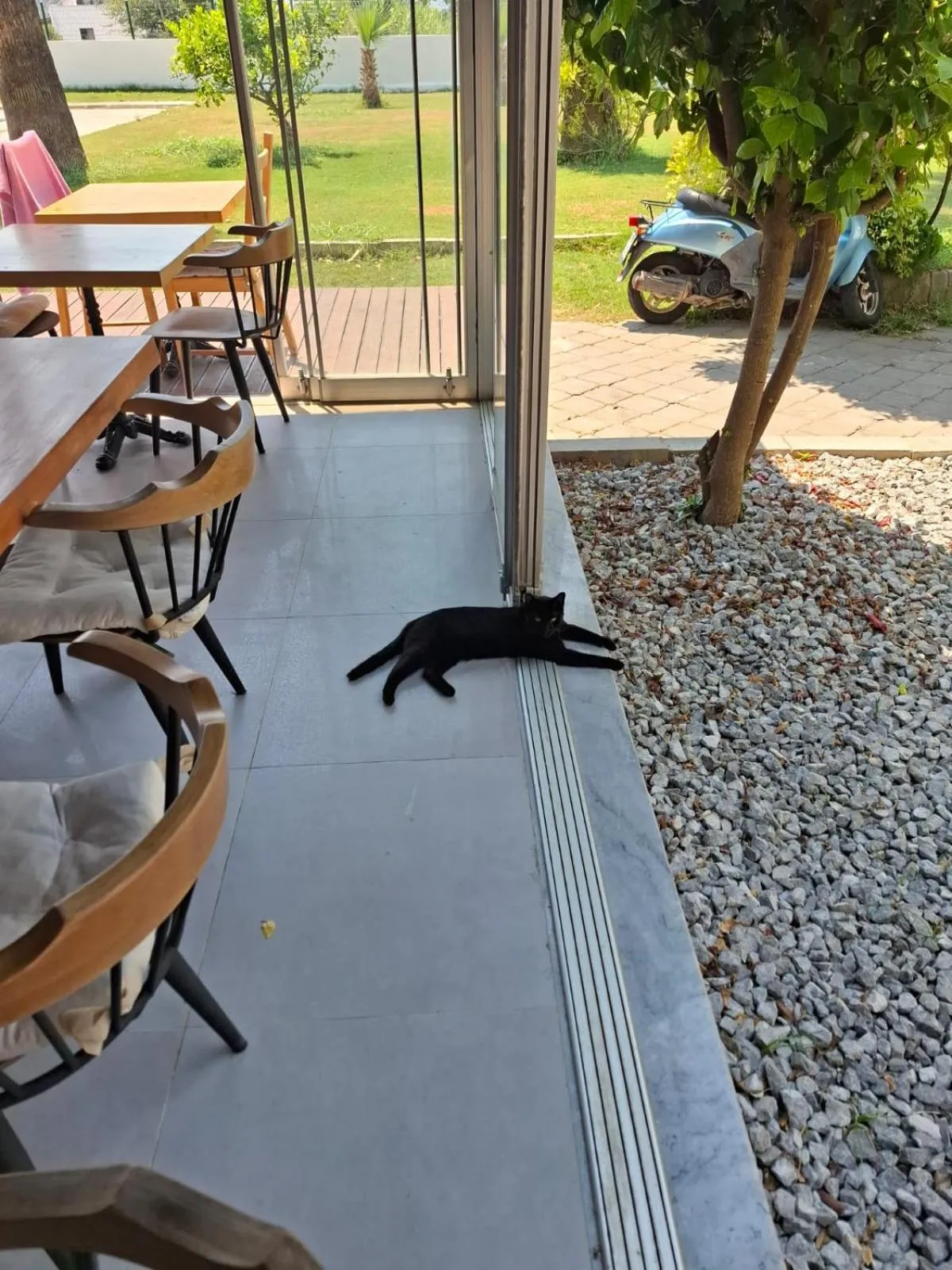 Pets in BURÇ HOTEL