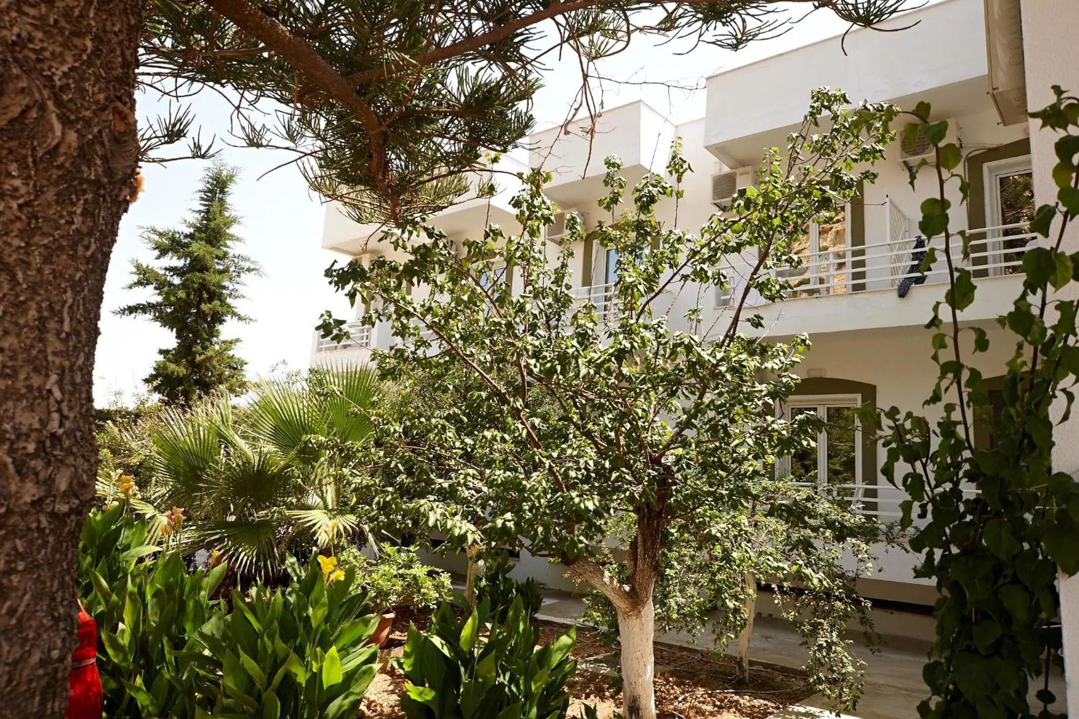 Garden in Elea Terra Hotel