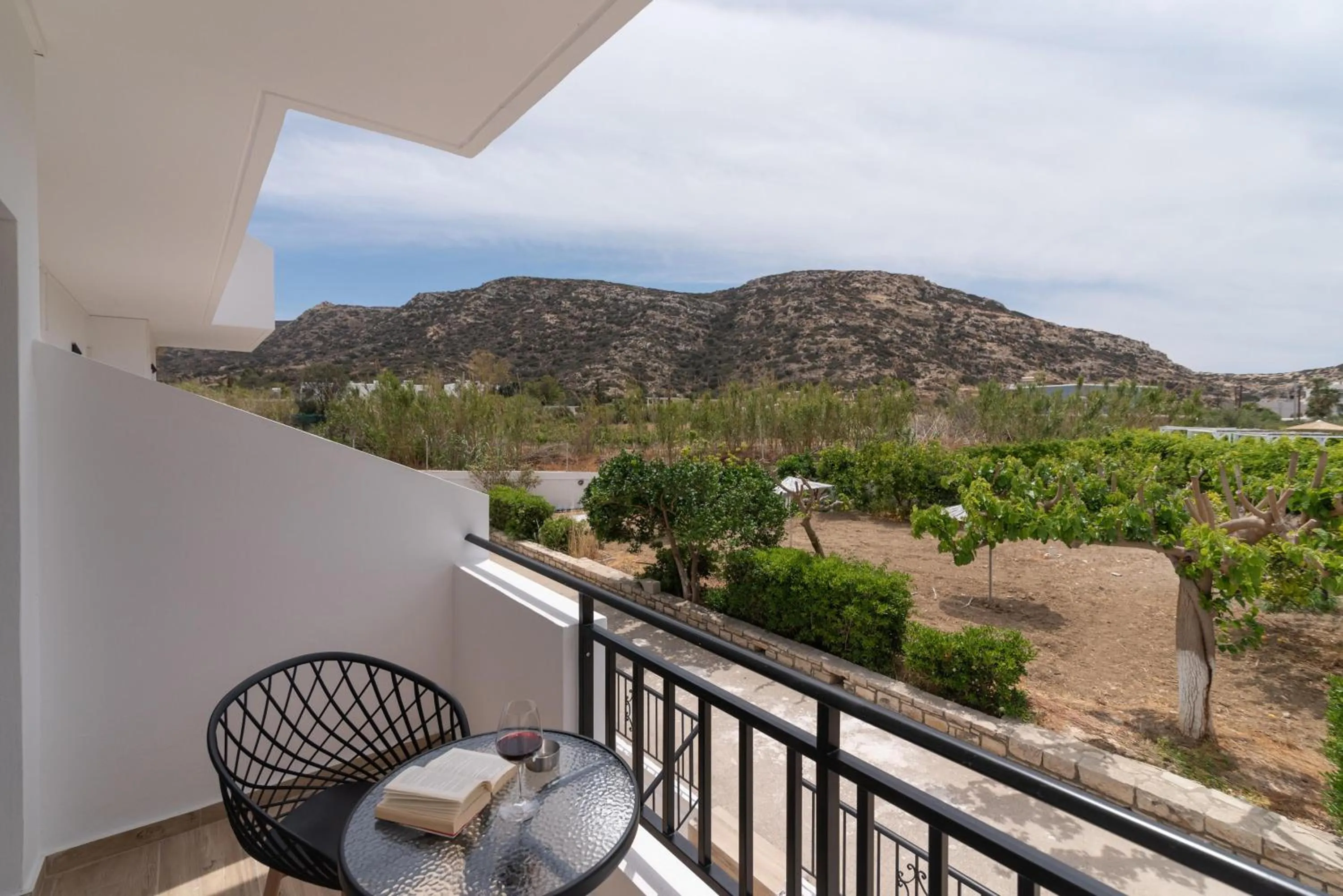 Balcony/Terrace in Elea Terra Hotel
