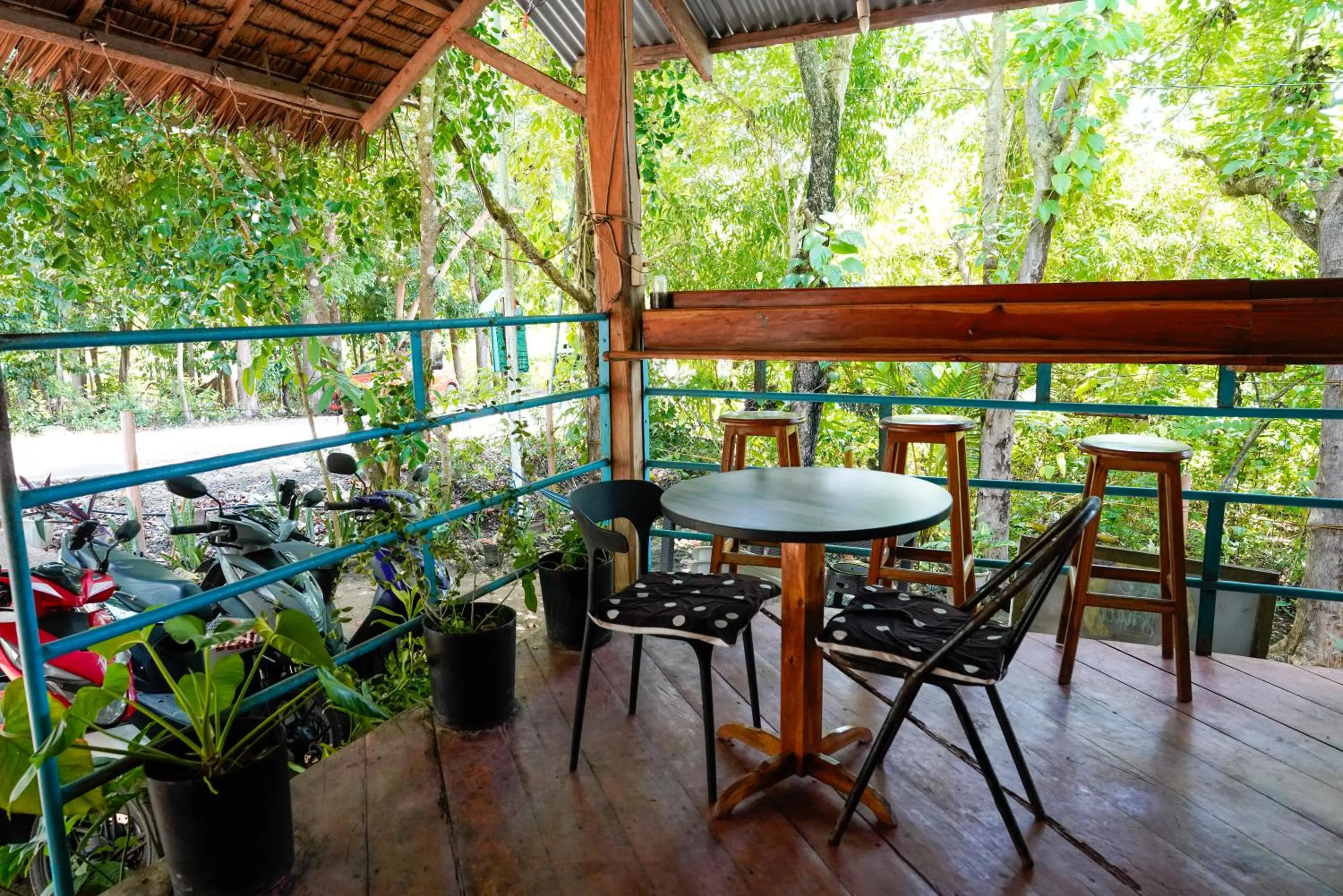 Love Shack Hostel & Cafe