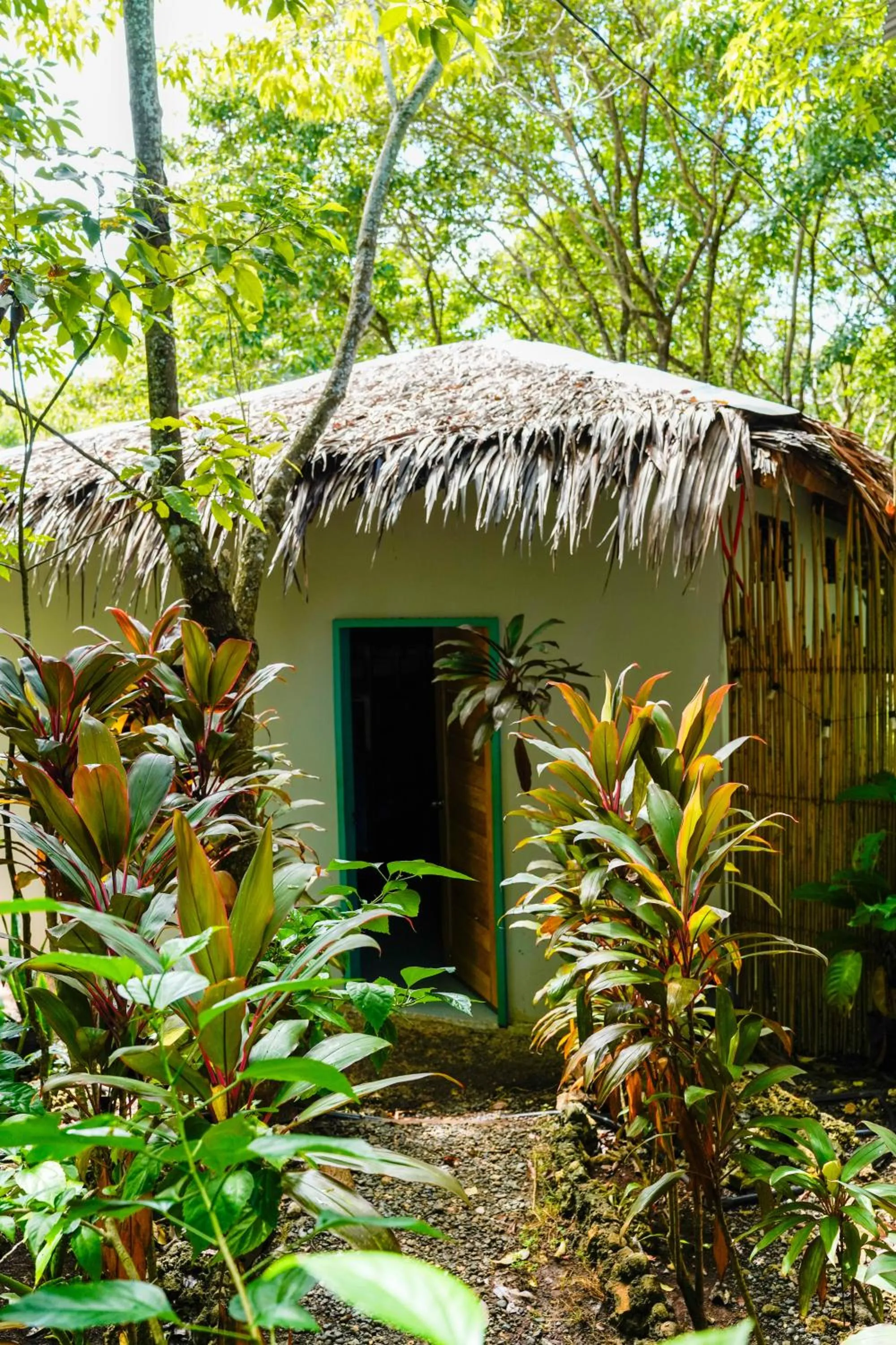 Property building in Love Shack Hostel & Cafe