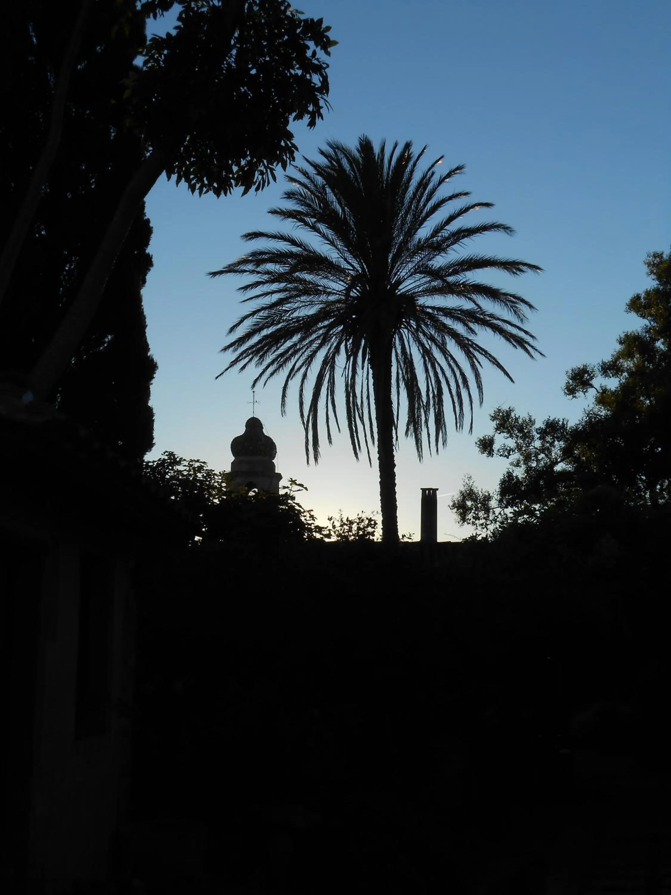 Garden view in Hotel Lucrezia