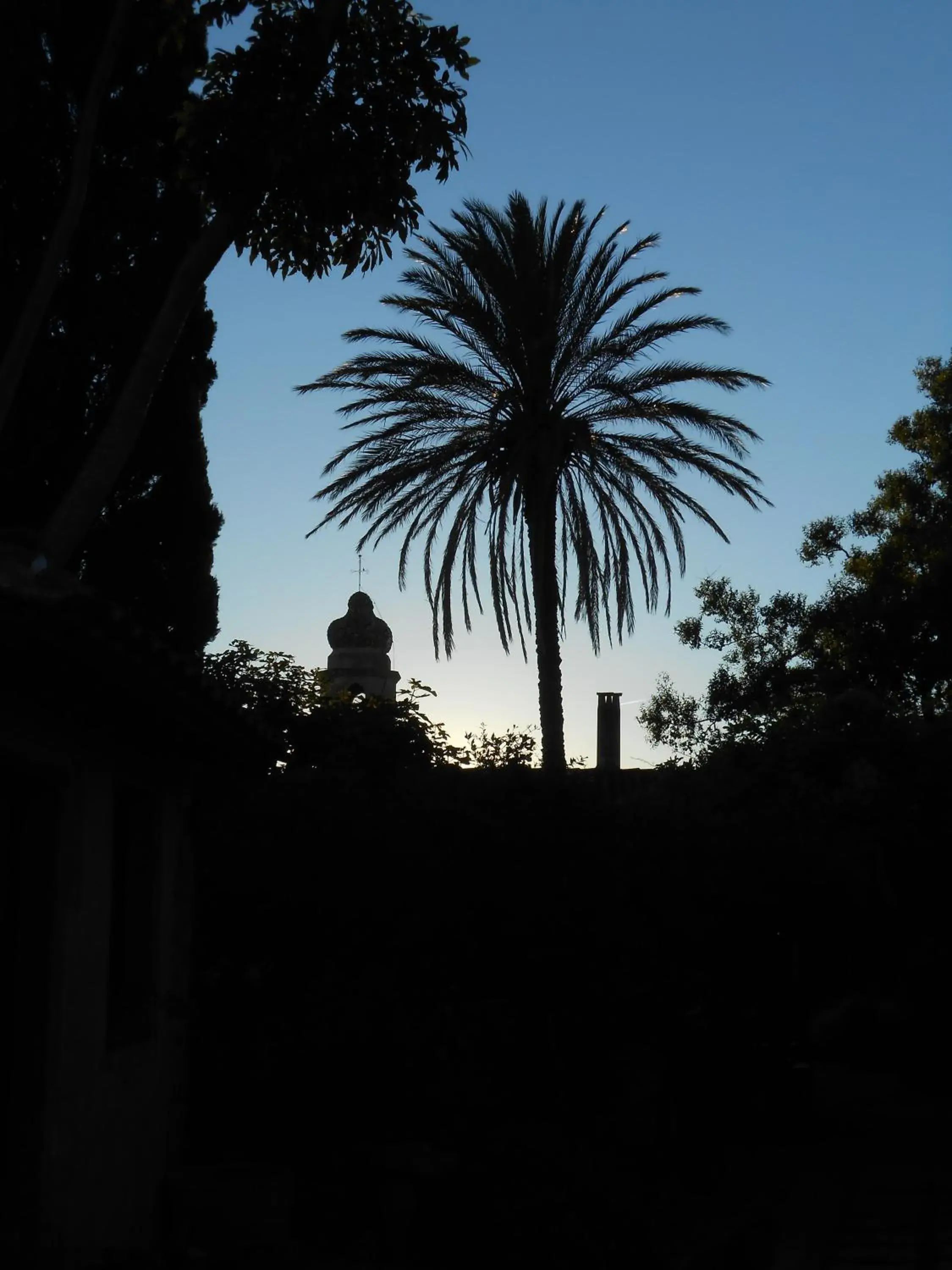 Garden view in Hotel Lucrezia Garden view in Hotel Lucrezia
