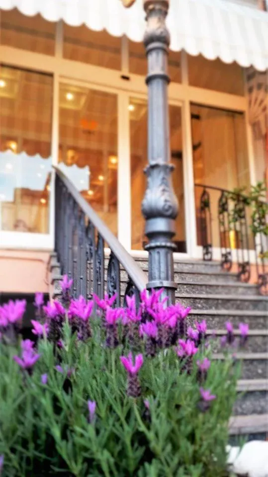 Facade/entrance in Albergo Belsoggiorno