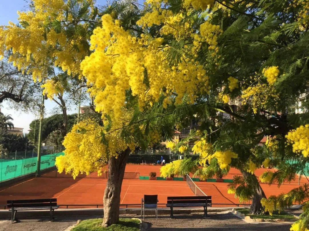 Albergo Belsoggiorno