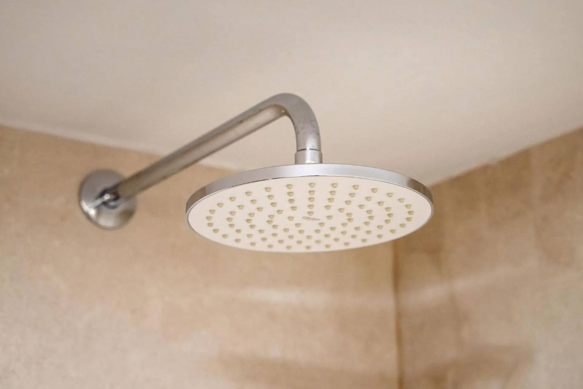 Shower in Celine's Rose