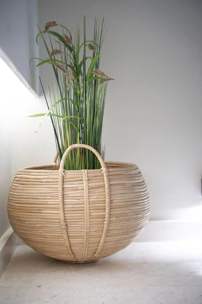 Decorative detail in Celine's Rose