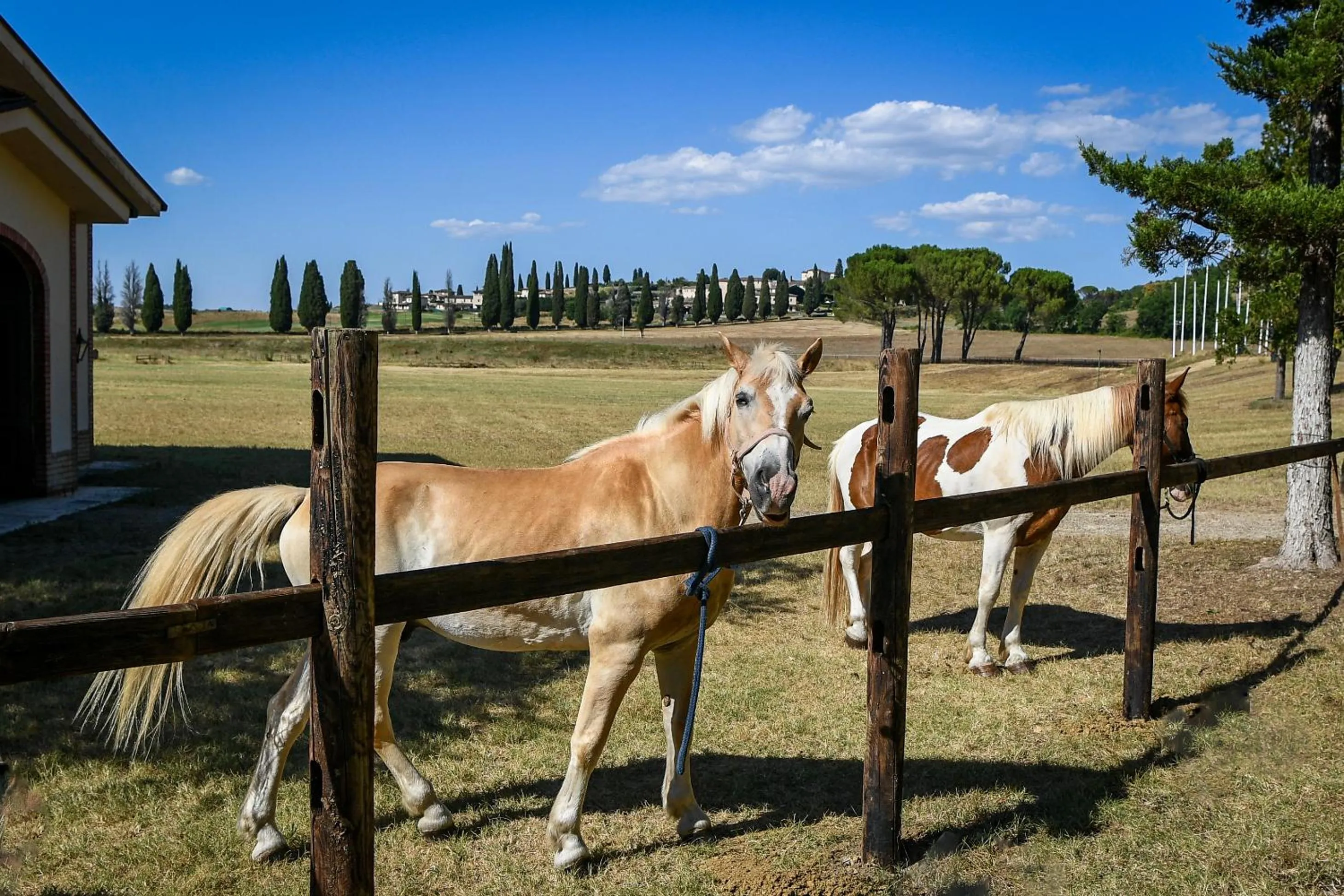 Horse-riding in La Bagnaia Golf Resort