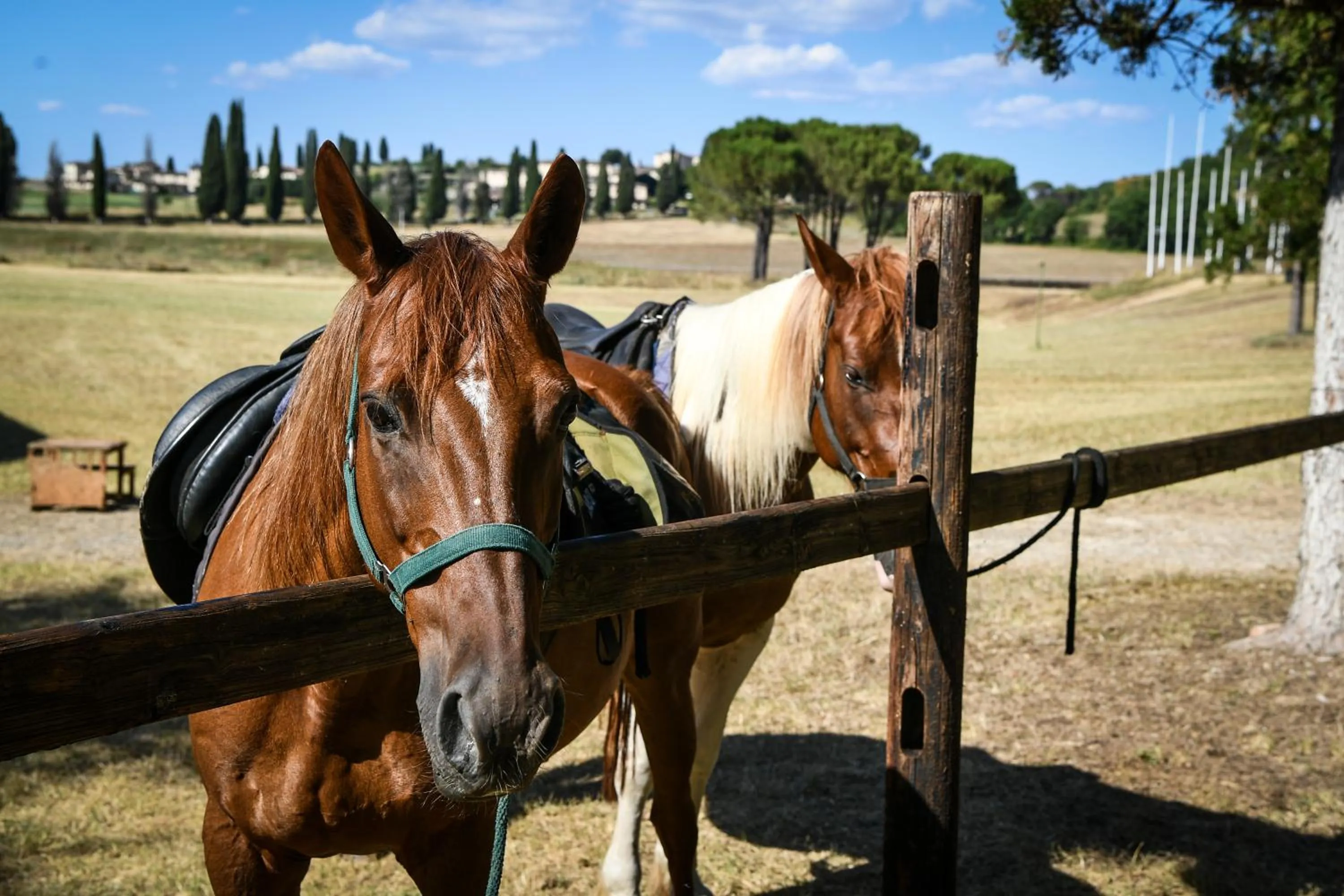 Horse-riding in La Bagnaia Golf Resort