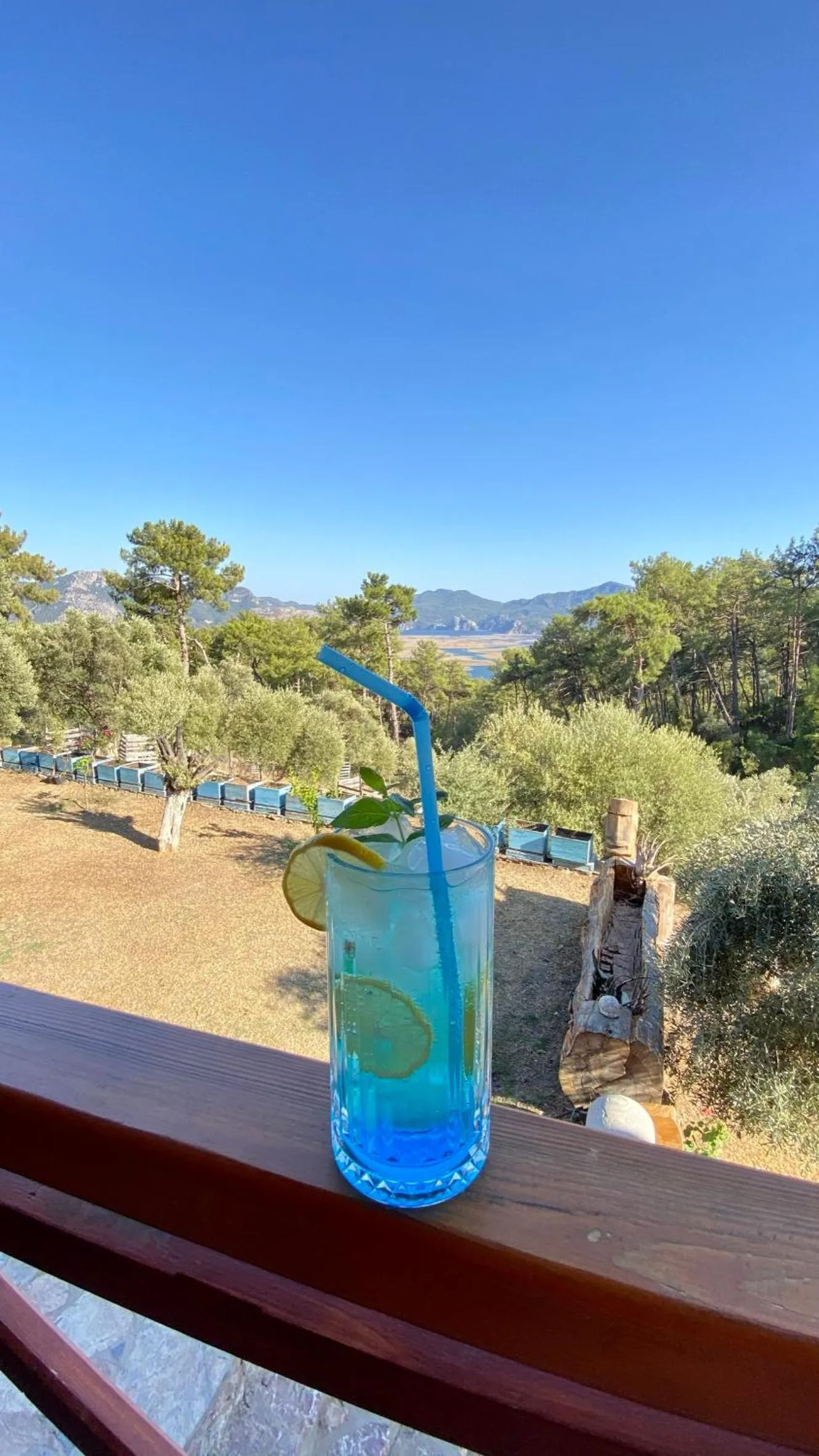 Balcony/Terrace in Çandır Resort Restaurant