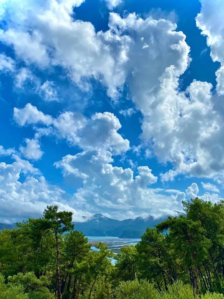 View (from property/room) in Çandır Resort Restaurant