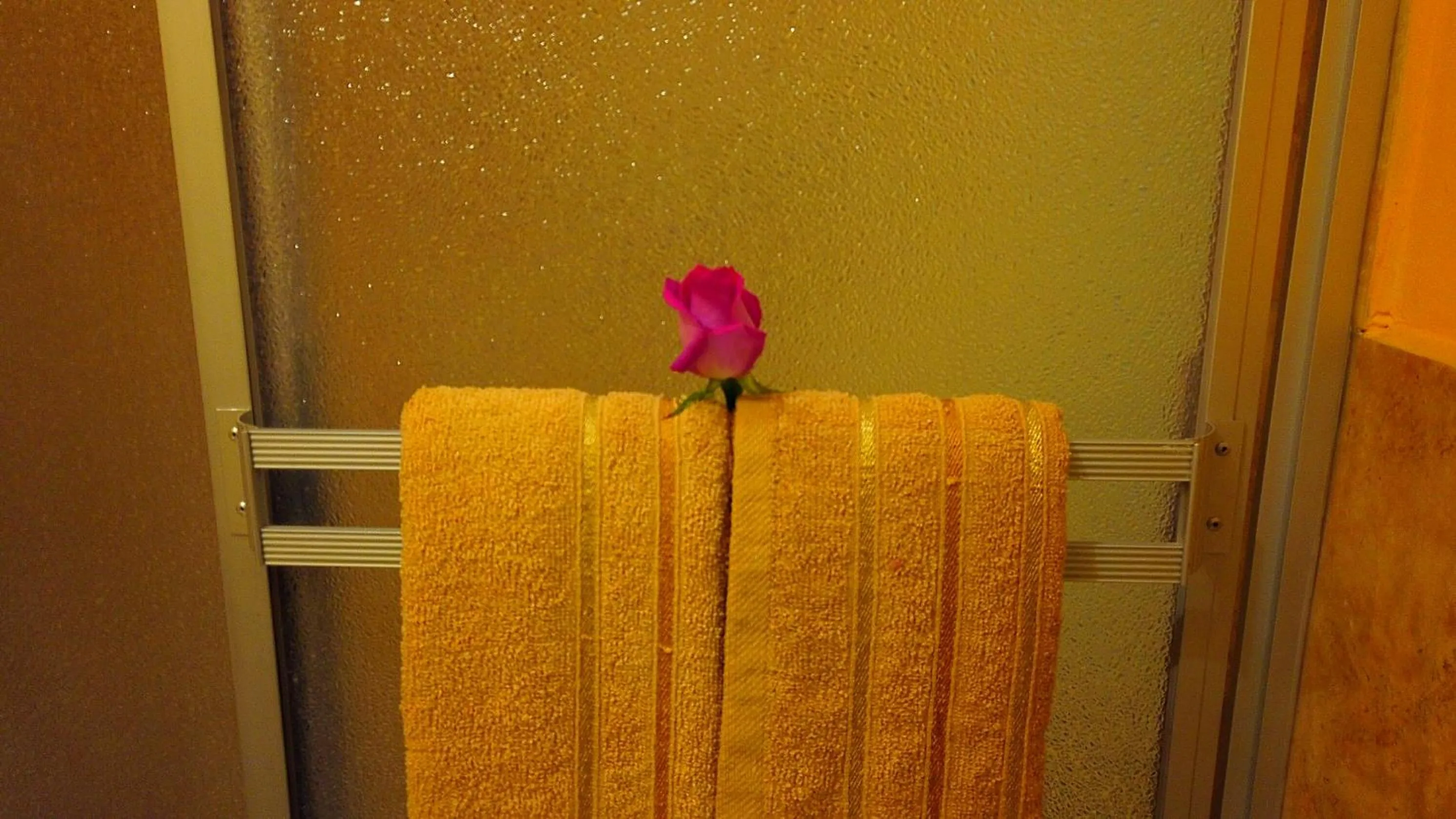 Bathroom in Olympus Plaza