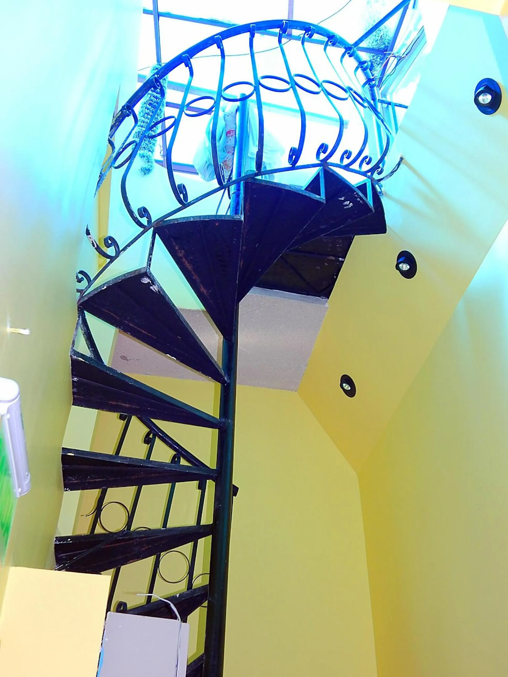 Certificate/Award in Olympus Plaza