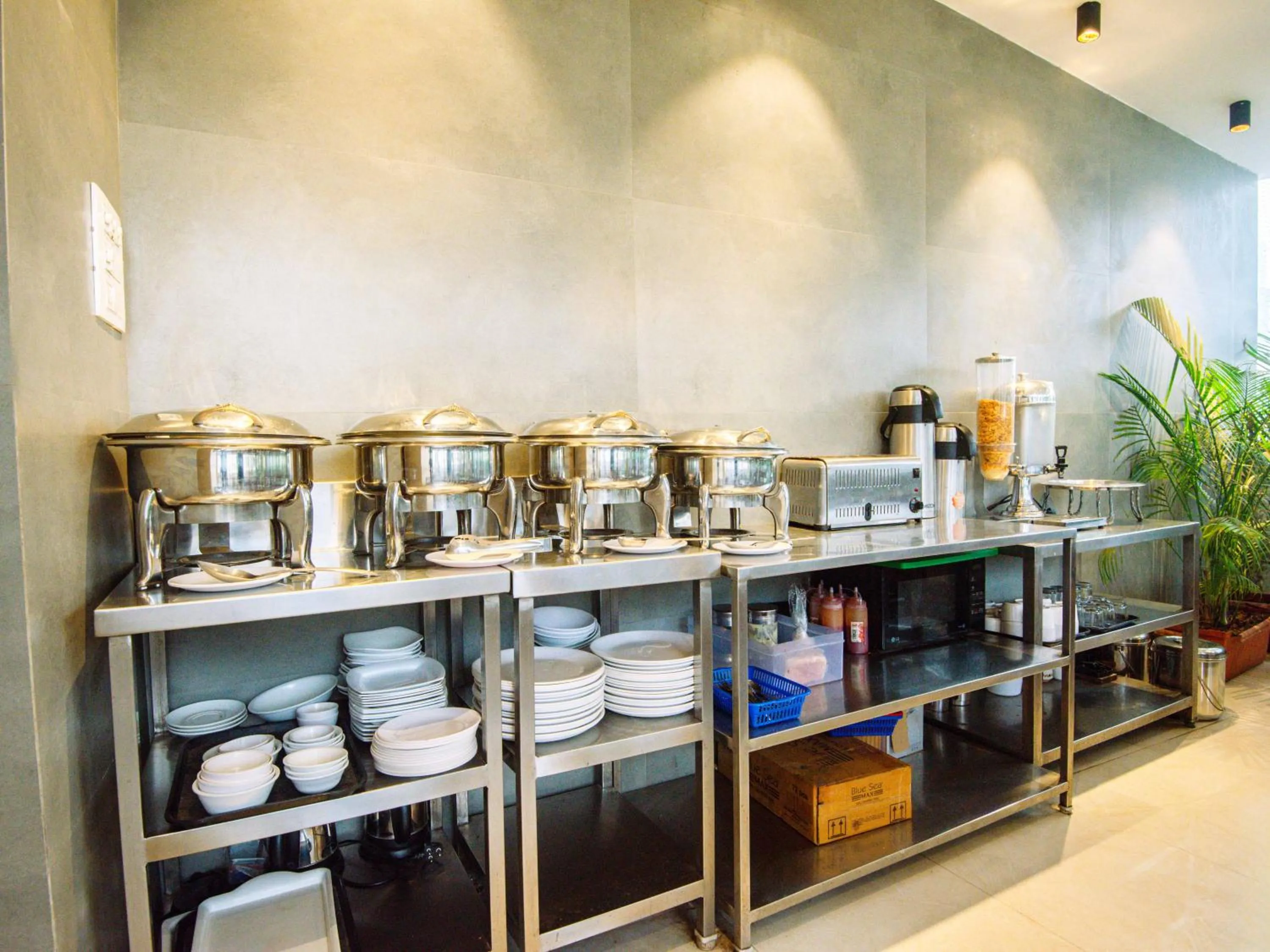 Breakfast in Treebo Amber Imperial