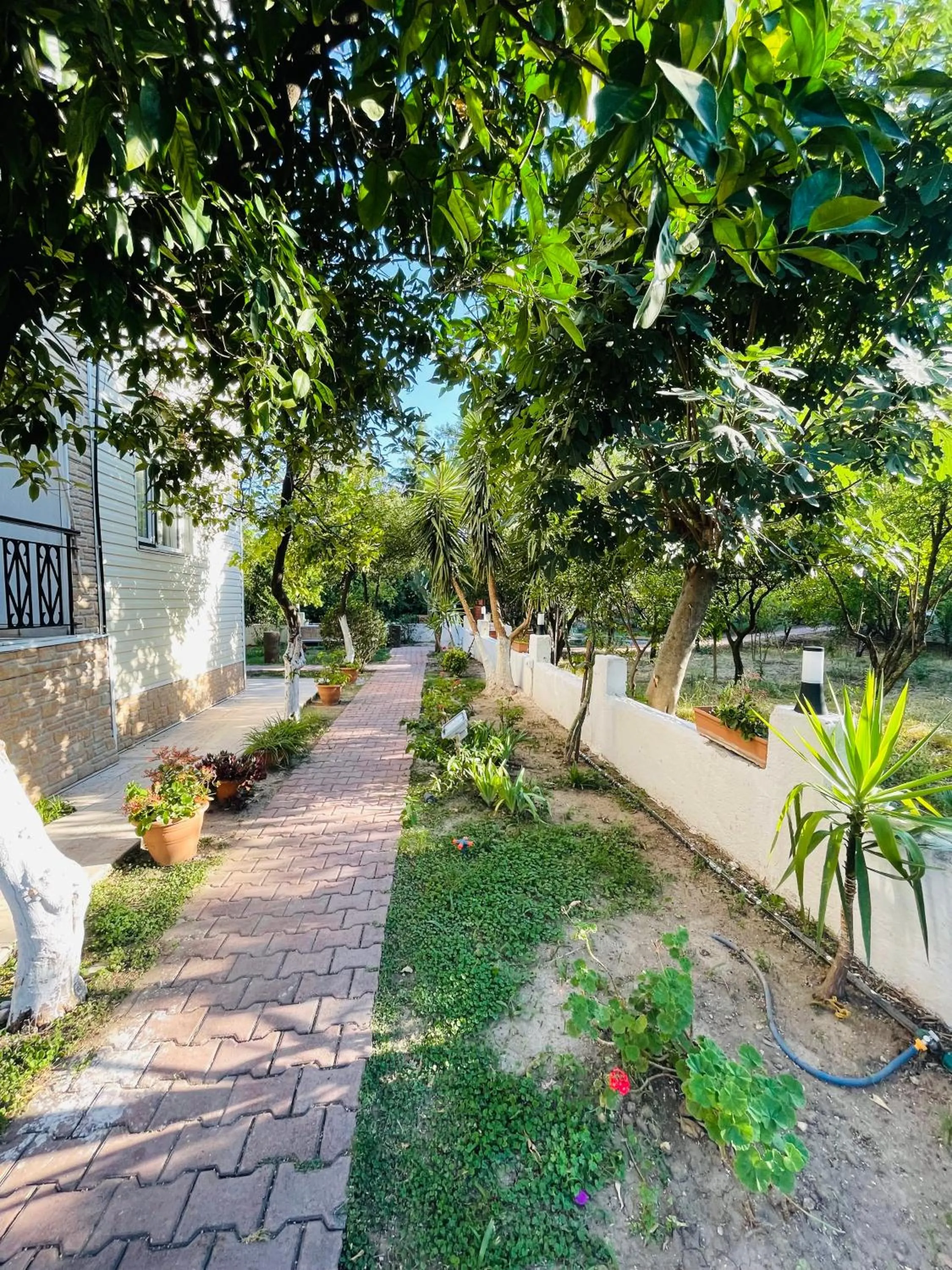 Garden in Felicity Hotel & Bungalows