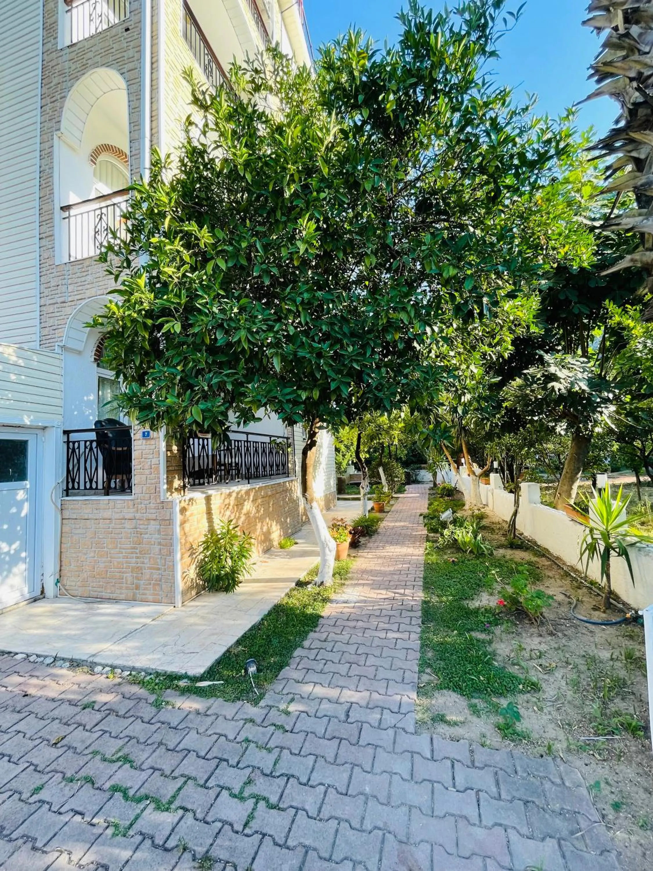 Property building in Felicity Hotel & Bungalows