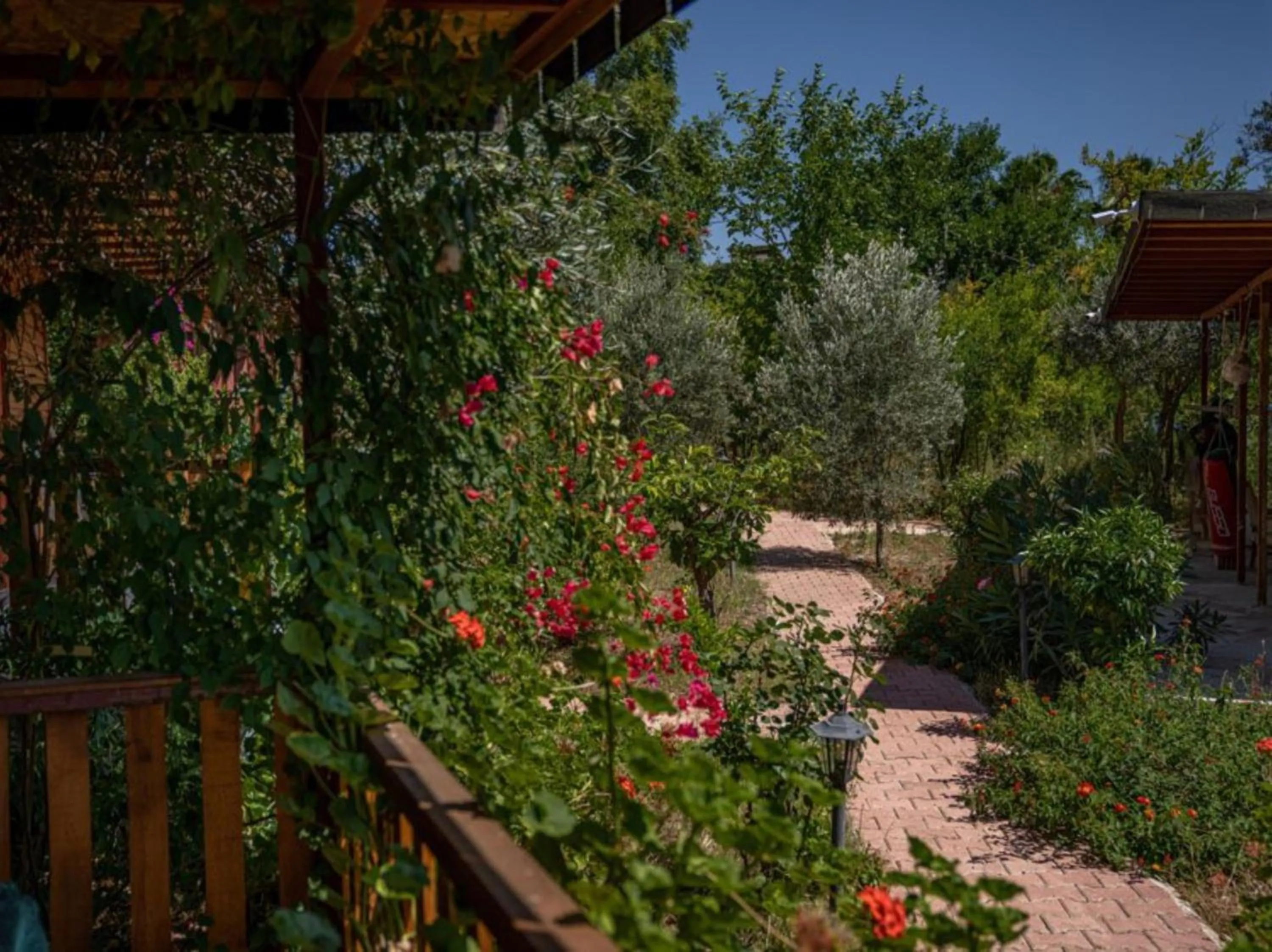 Spring in Felicity Hotel & Bungalows