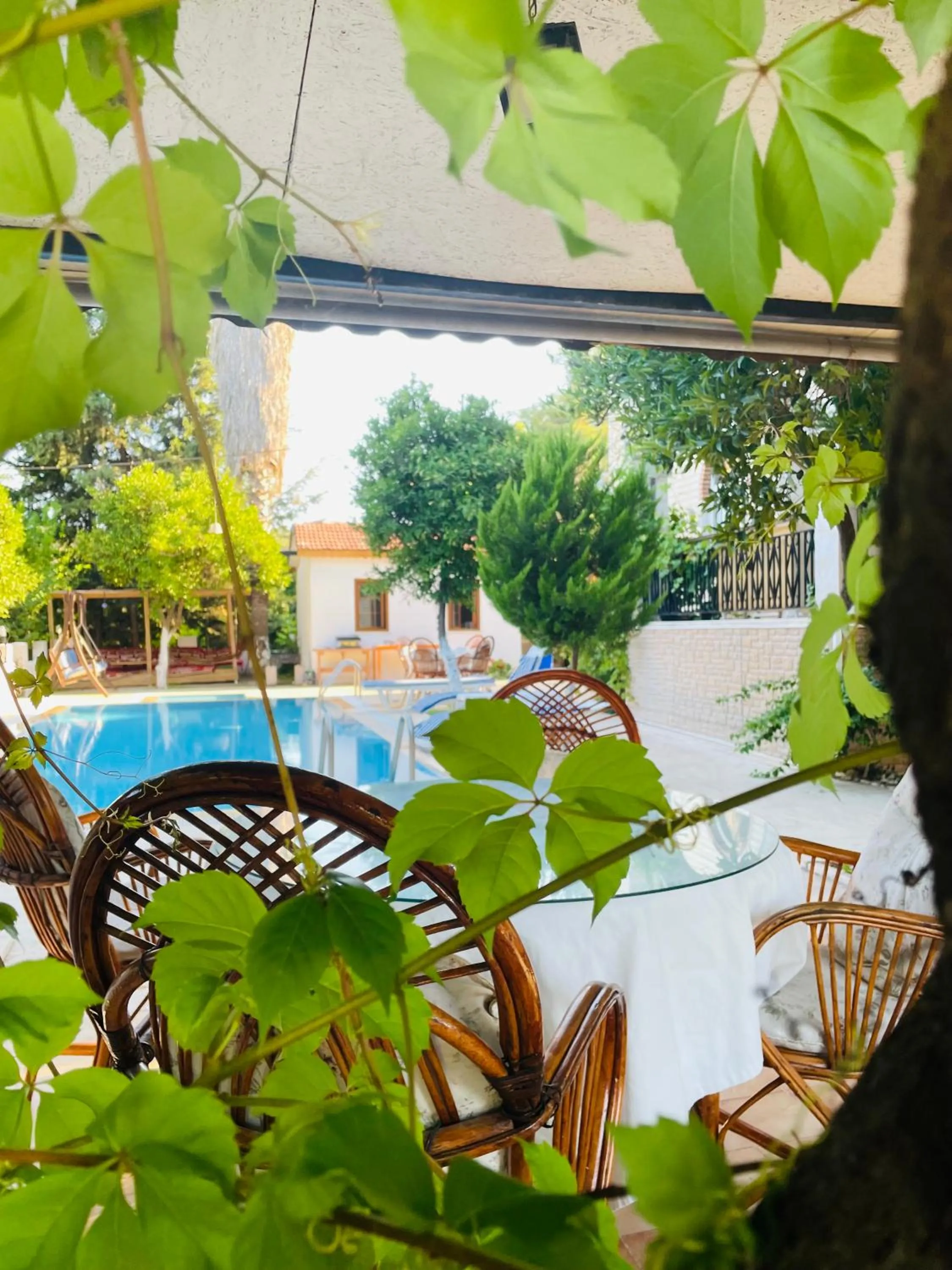 Swimming pool in Felicity Hotel & Bungalows