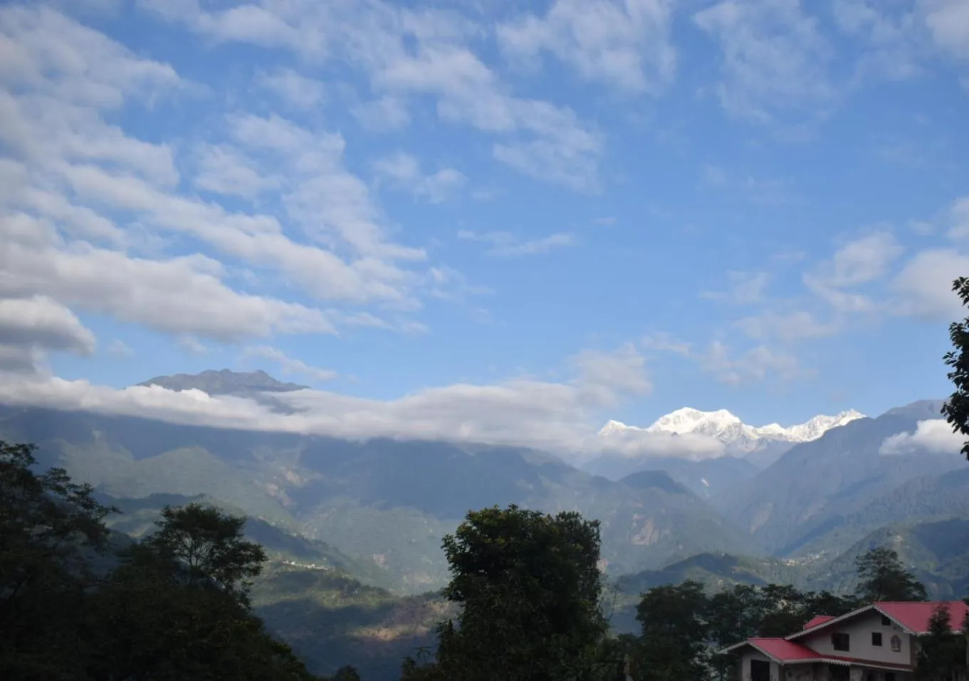 Balcony/Terrace in Mandavya homestay