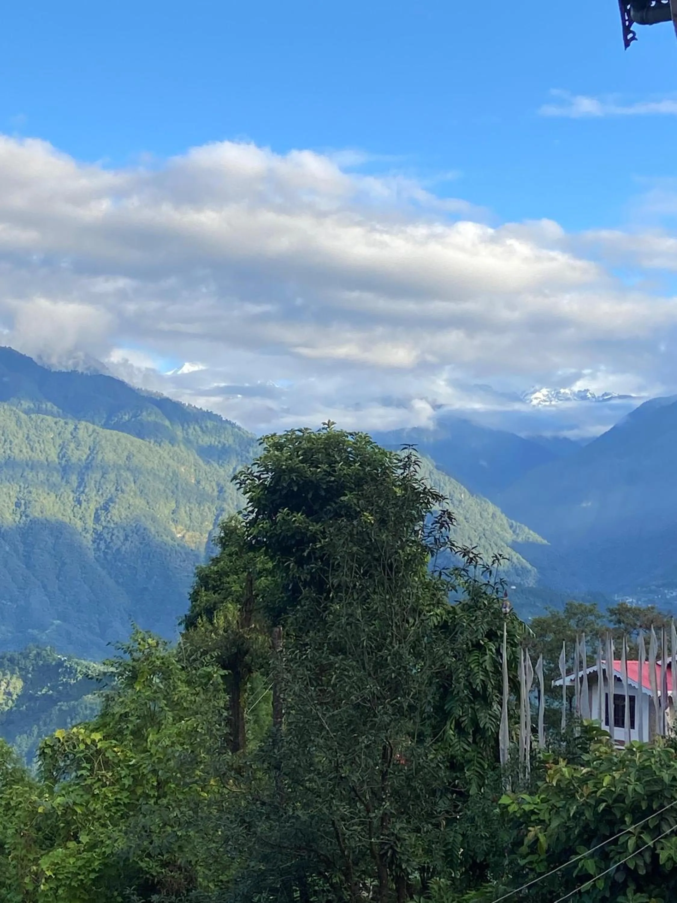View (from property/room) in Mandavya homestay
