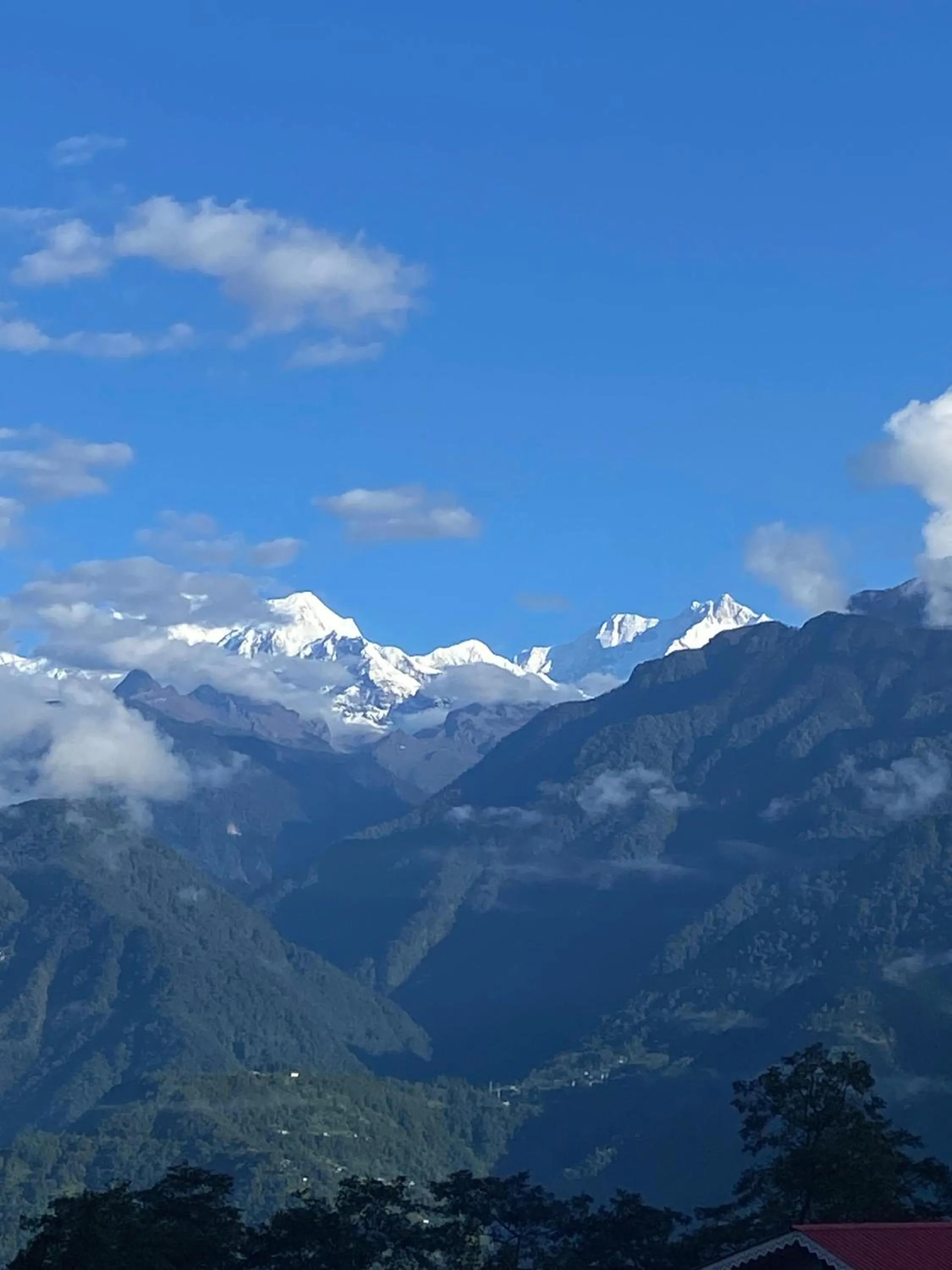 View (from property/room) in Mandavya homestay