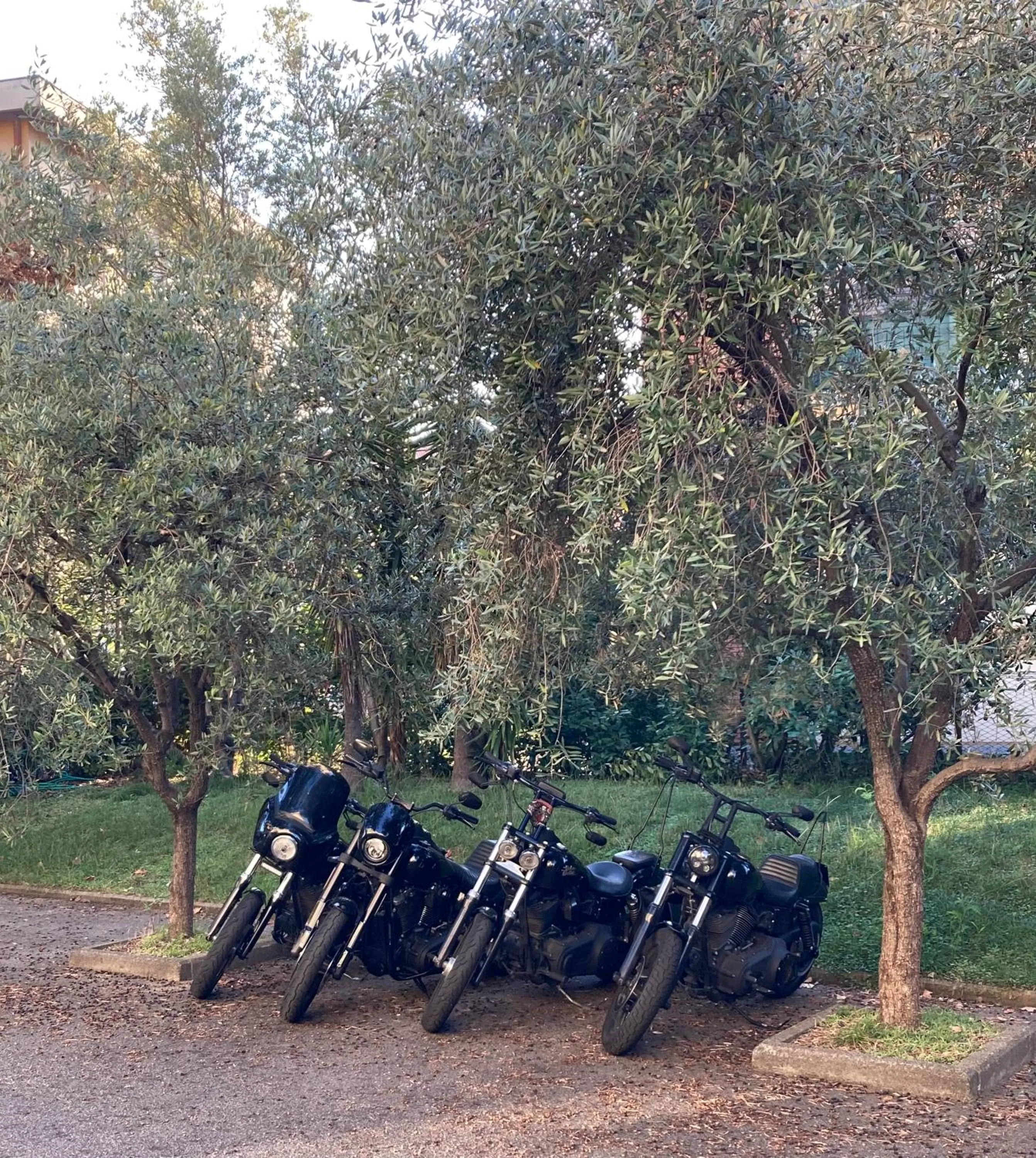 Parking in Hotel Ghironi