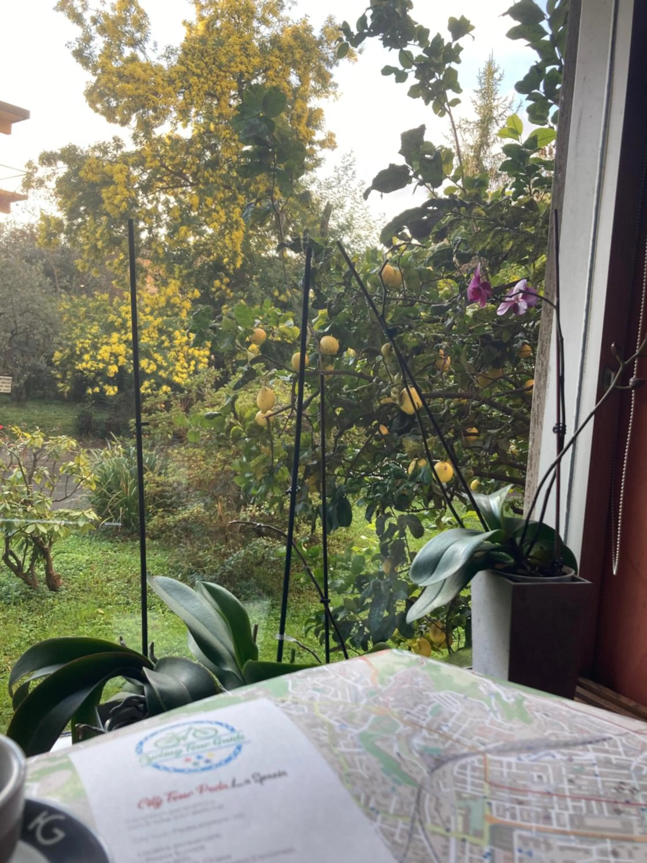 Garden in Hotel Ghironi