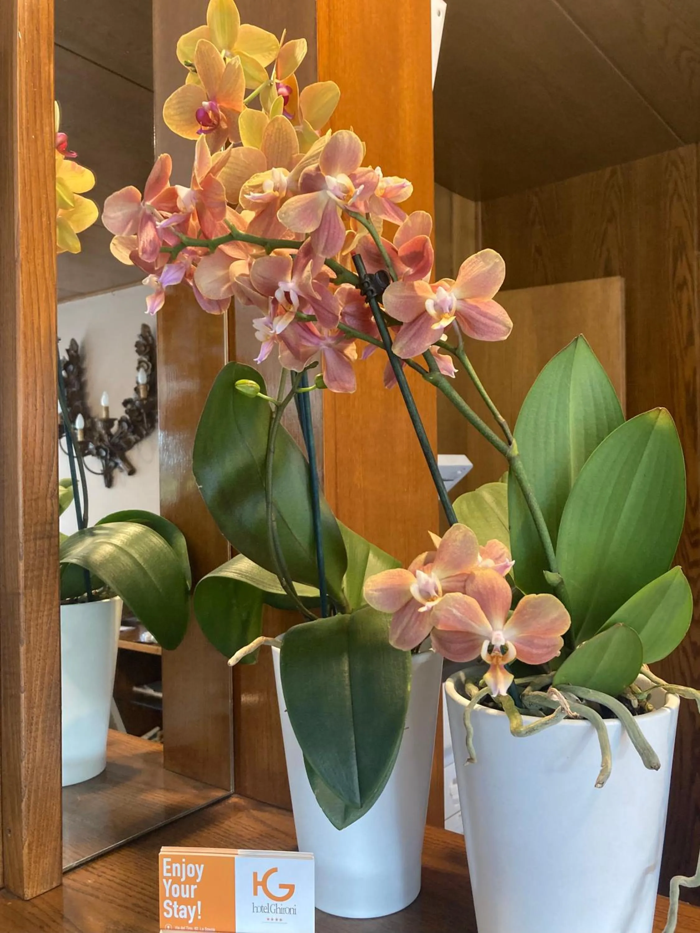 Lobby or reception in Hotel Ghironi