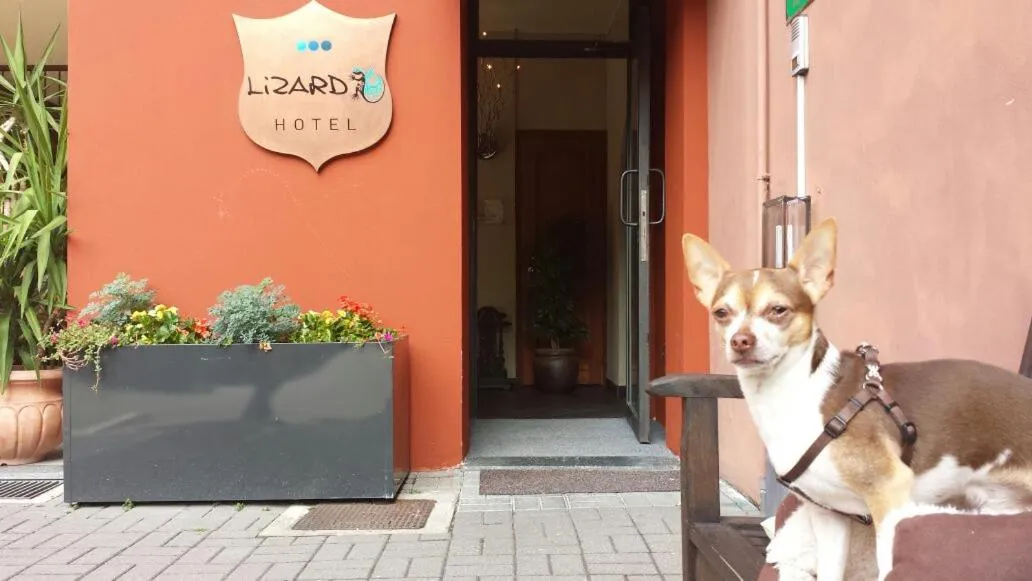 Property building in Lizard Hotel