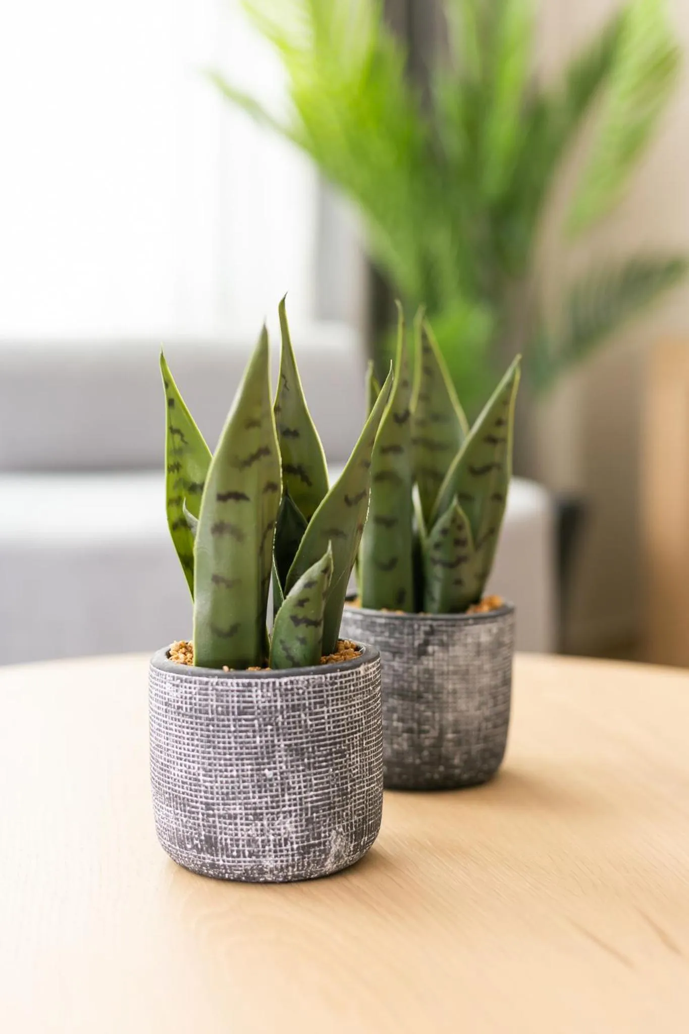 Decorative detail in Sea & the City