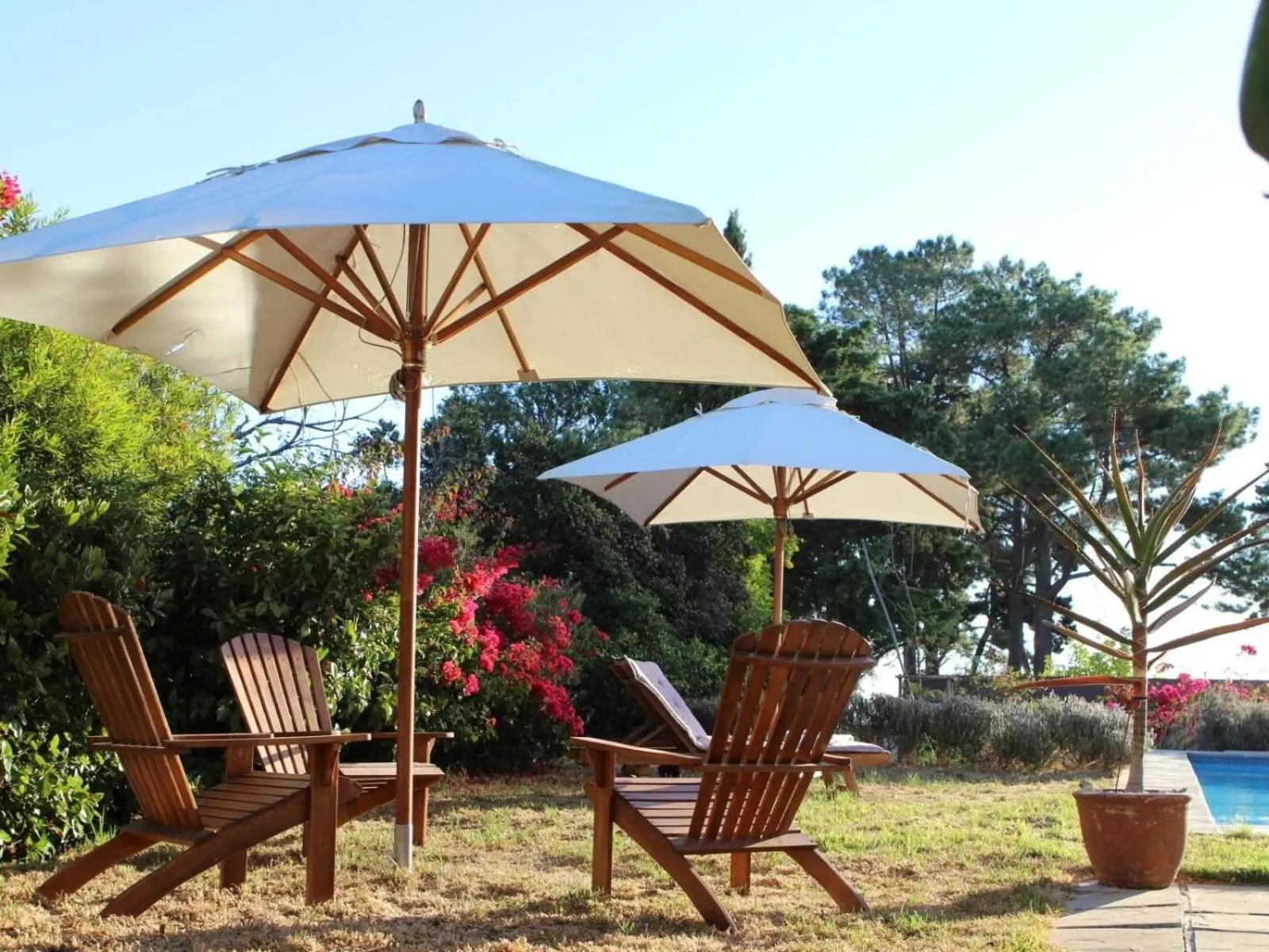 Garden in Explorer Guesthouse