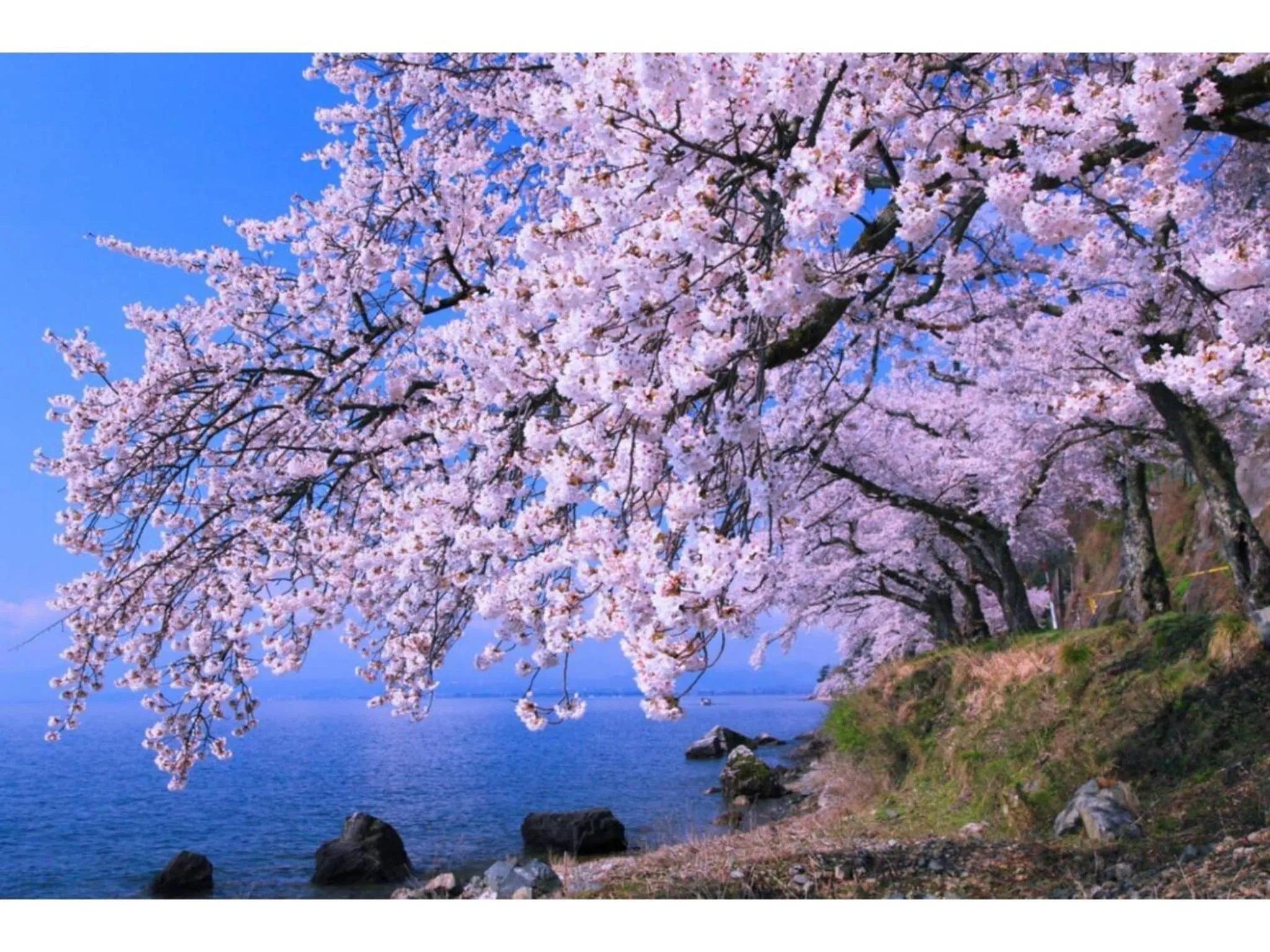 Kishida House - Vacation STAY 36613v
