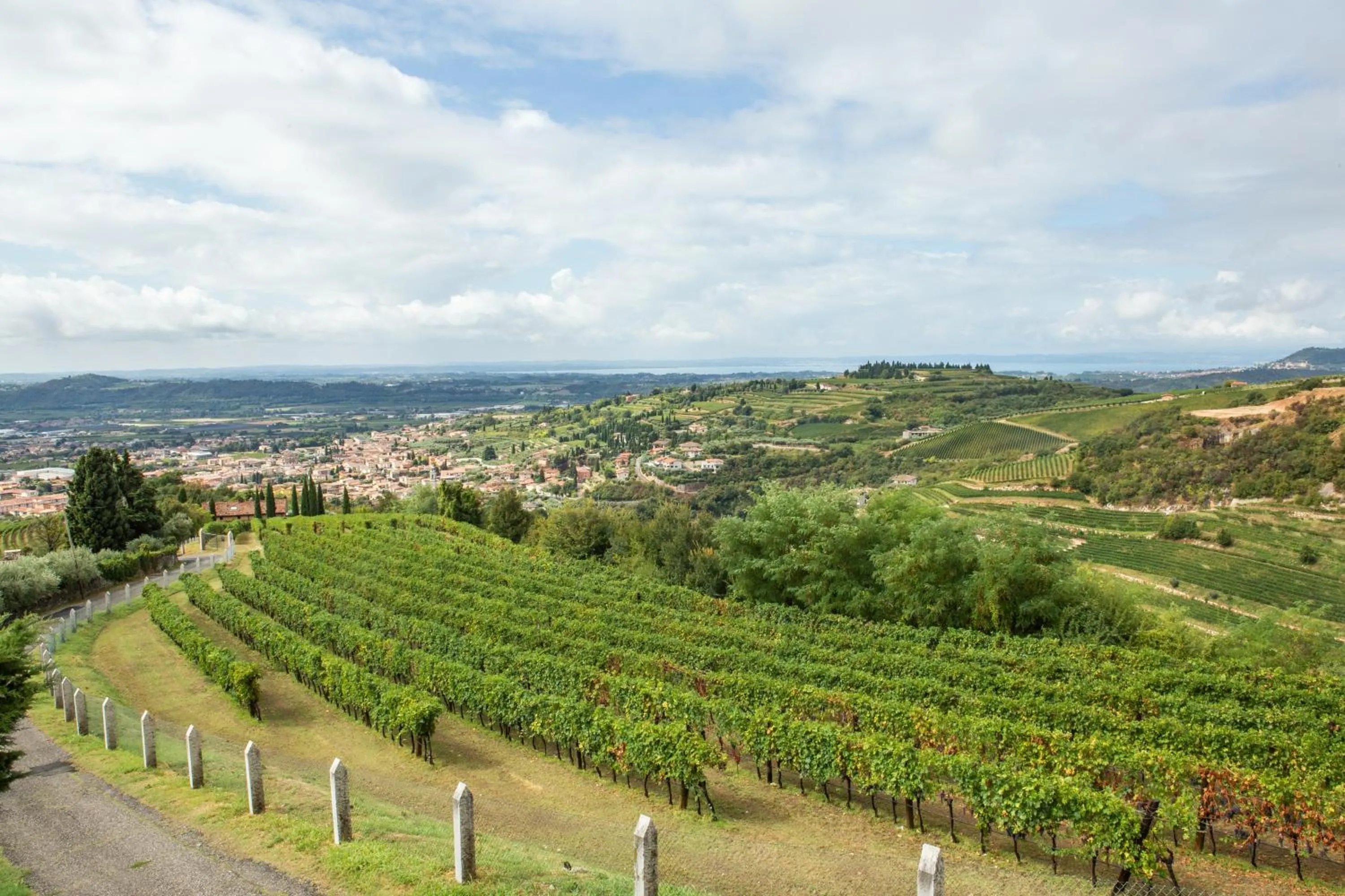 View (from property/room) in Villa San Giorgio