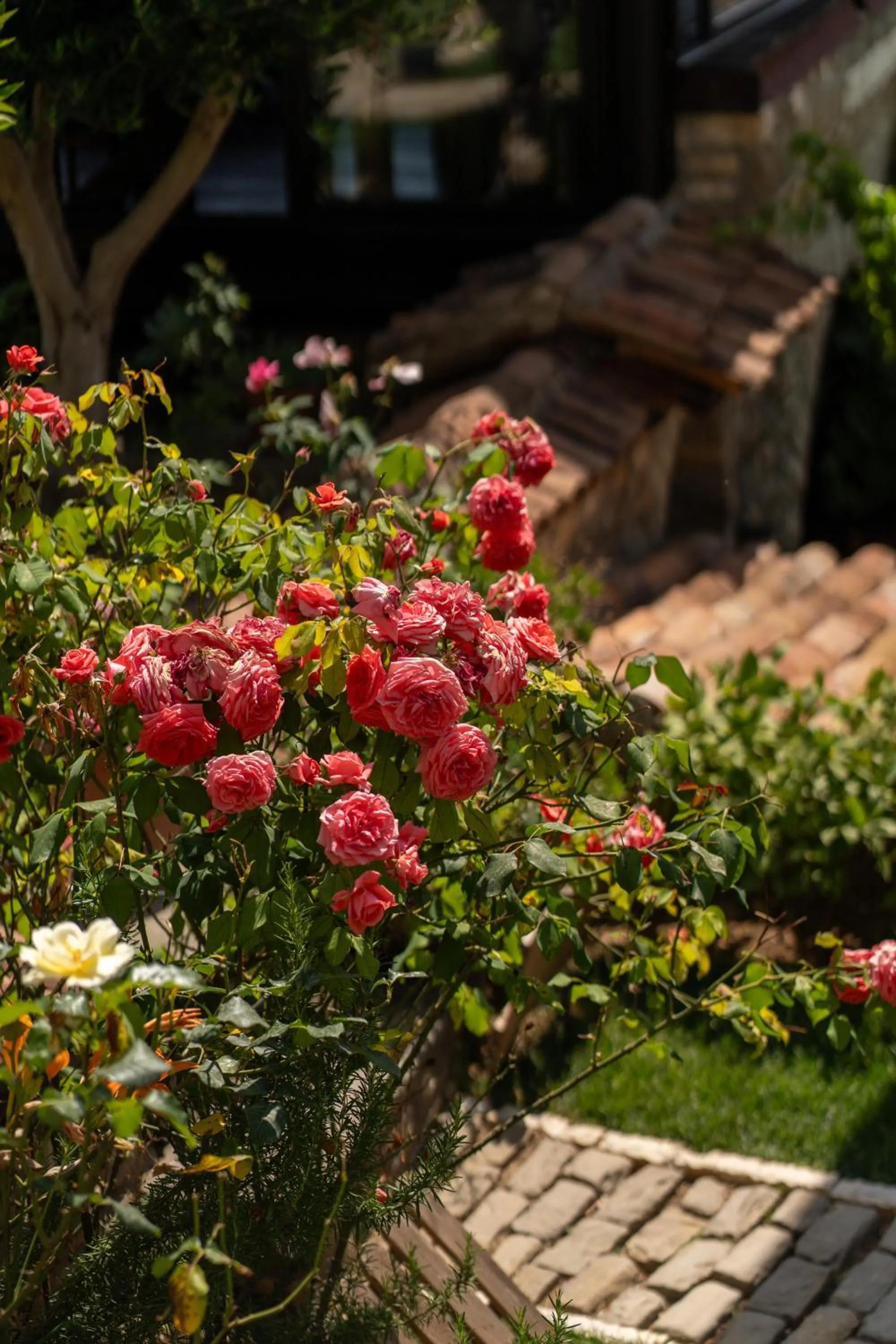 Spring in Villa ELMAR