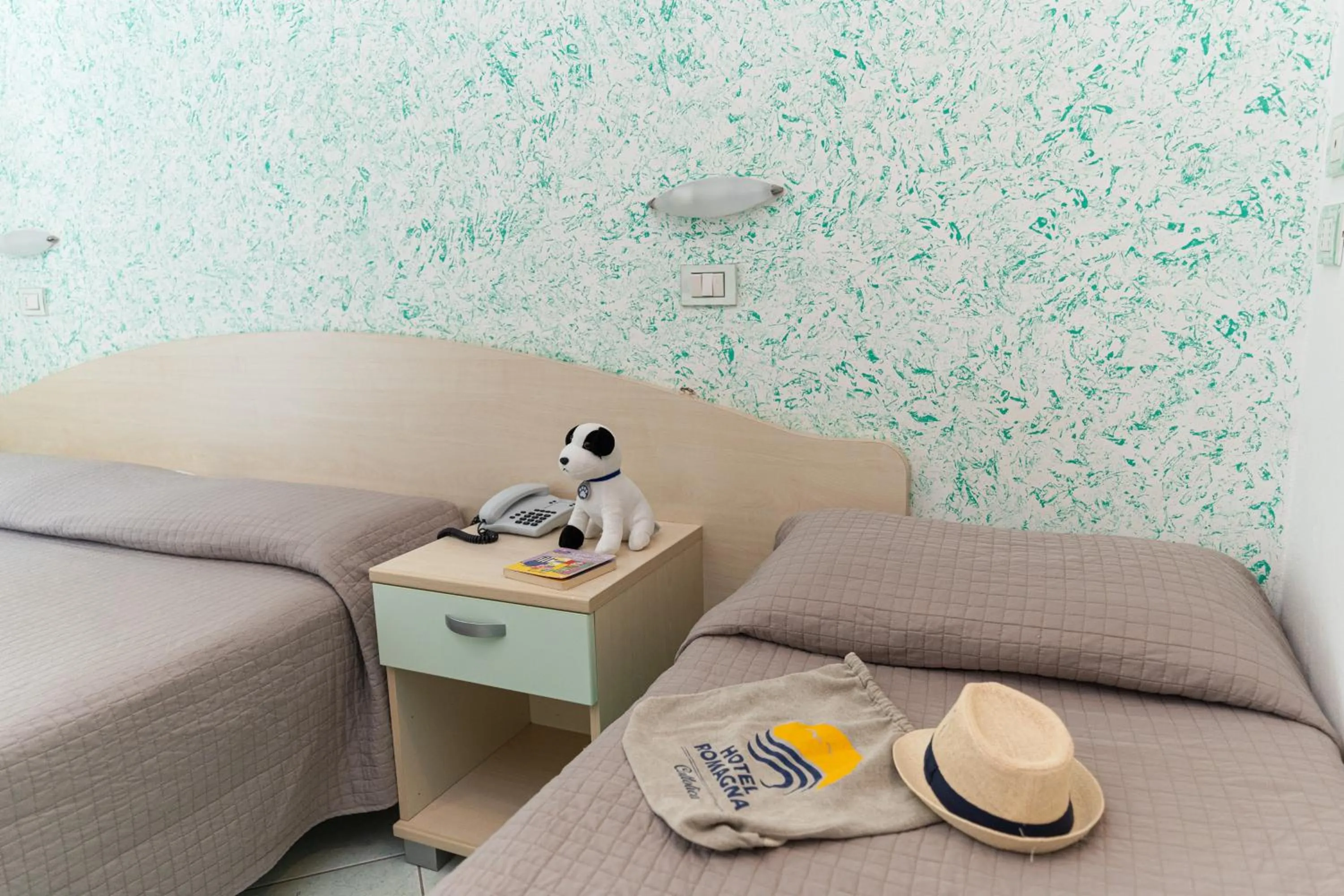 Photo of the whole room in Hotel Romagna