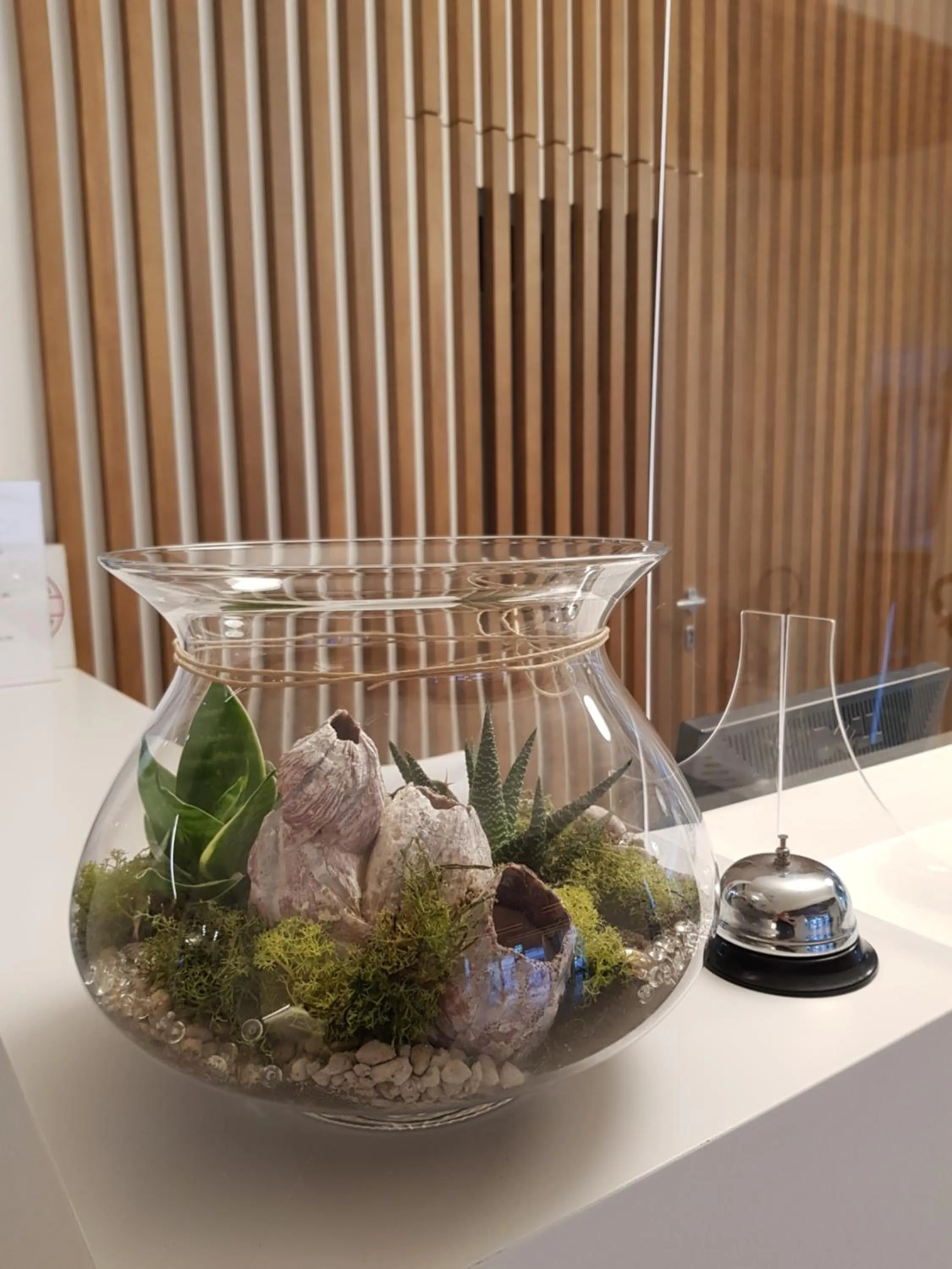 Lobby or reception in Hotel Romagna