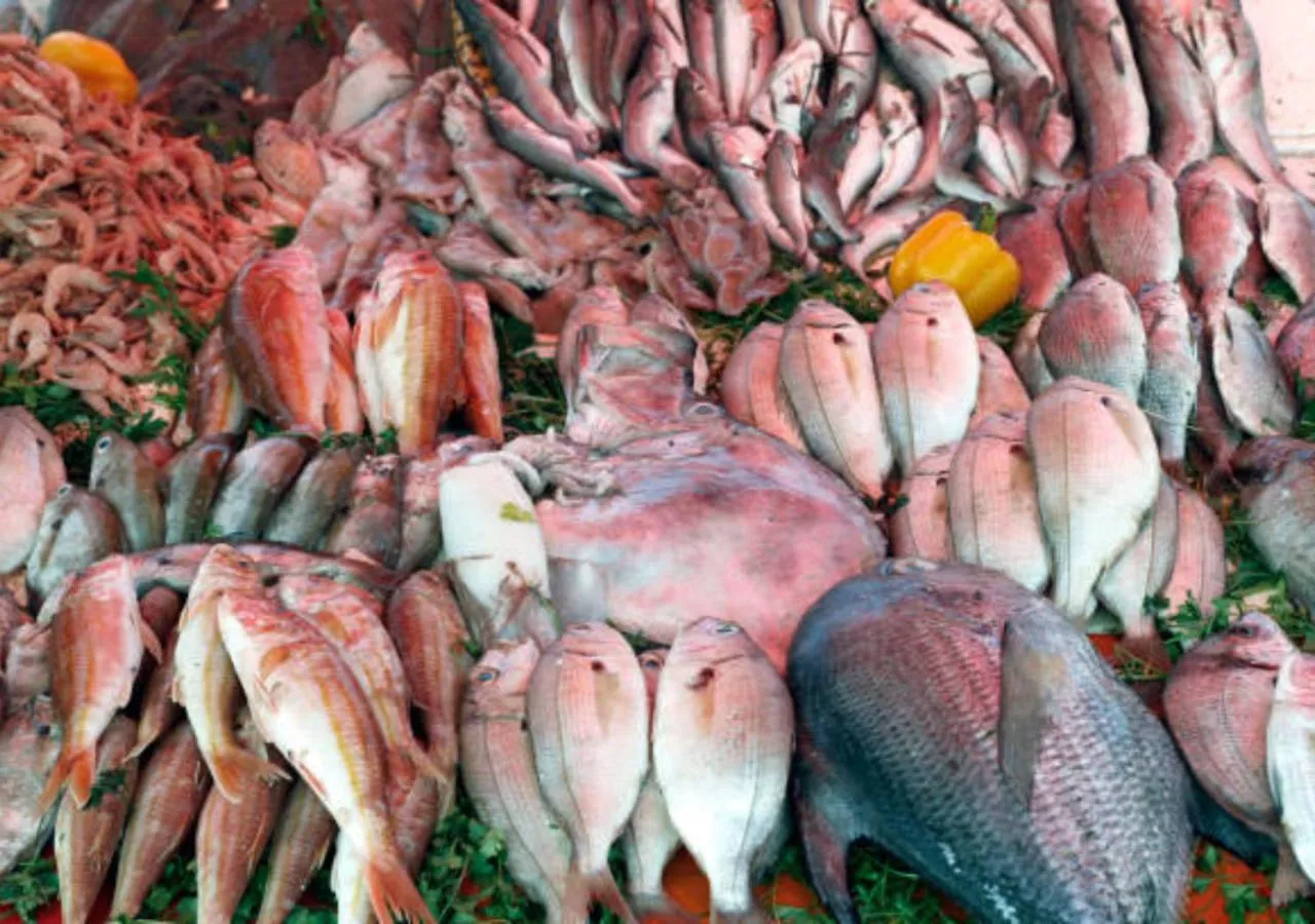 Restaurant/places to eat in Dar Ayman Essaouira