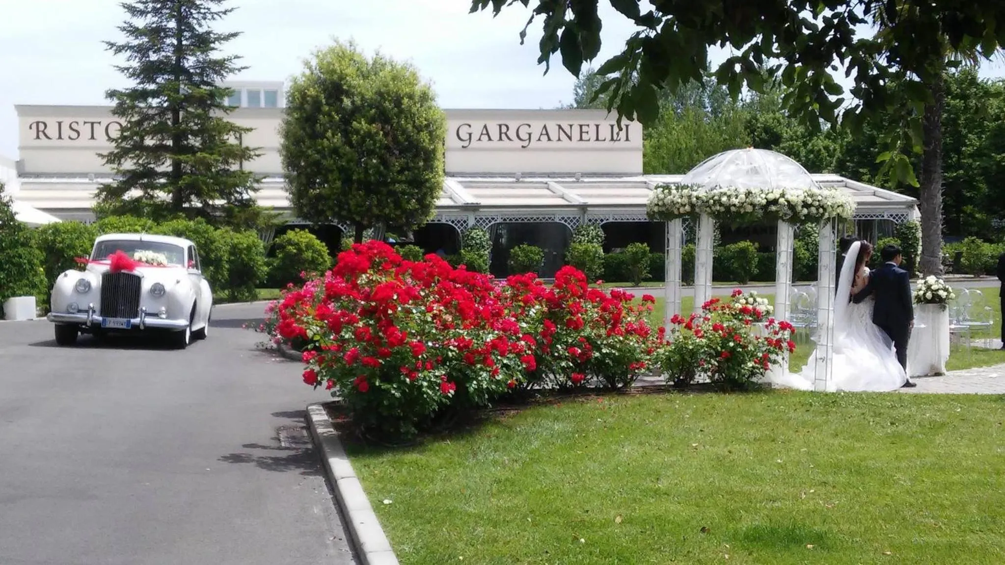 Garden in Savoia Hotel Regency