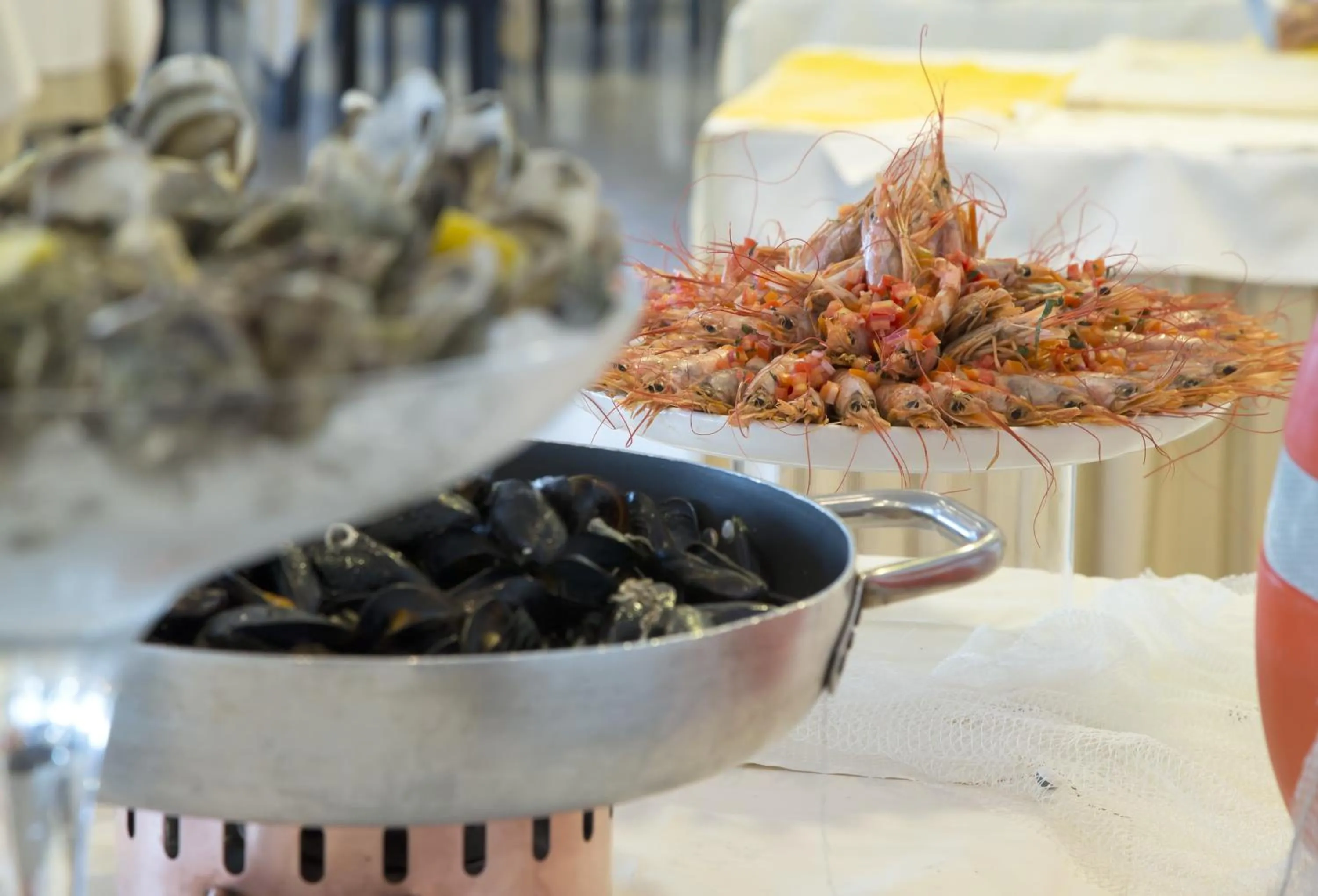 Food and drinks in Hotel Continental