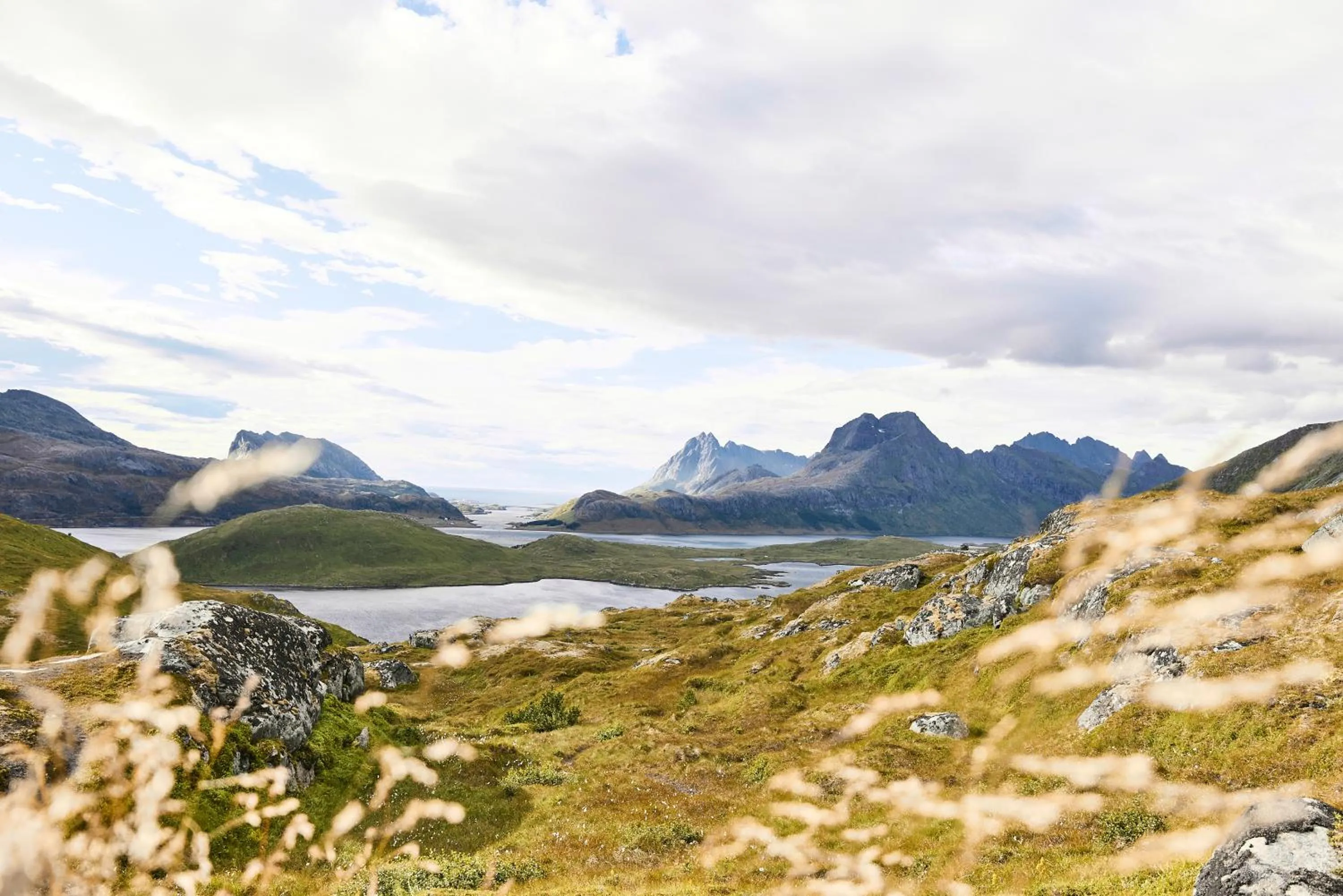 Natural landscape in Lofoten panorama luxury home with sauna in Reine