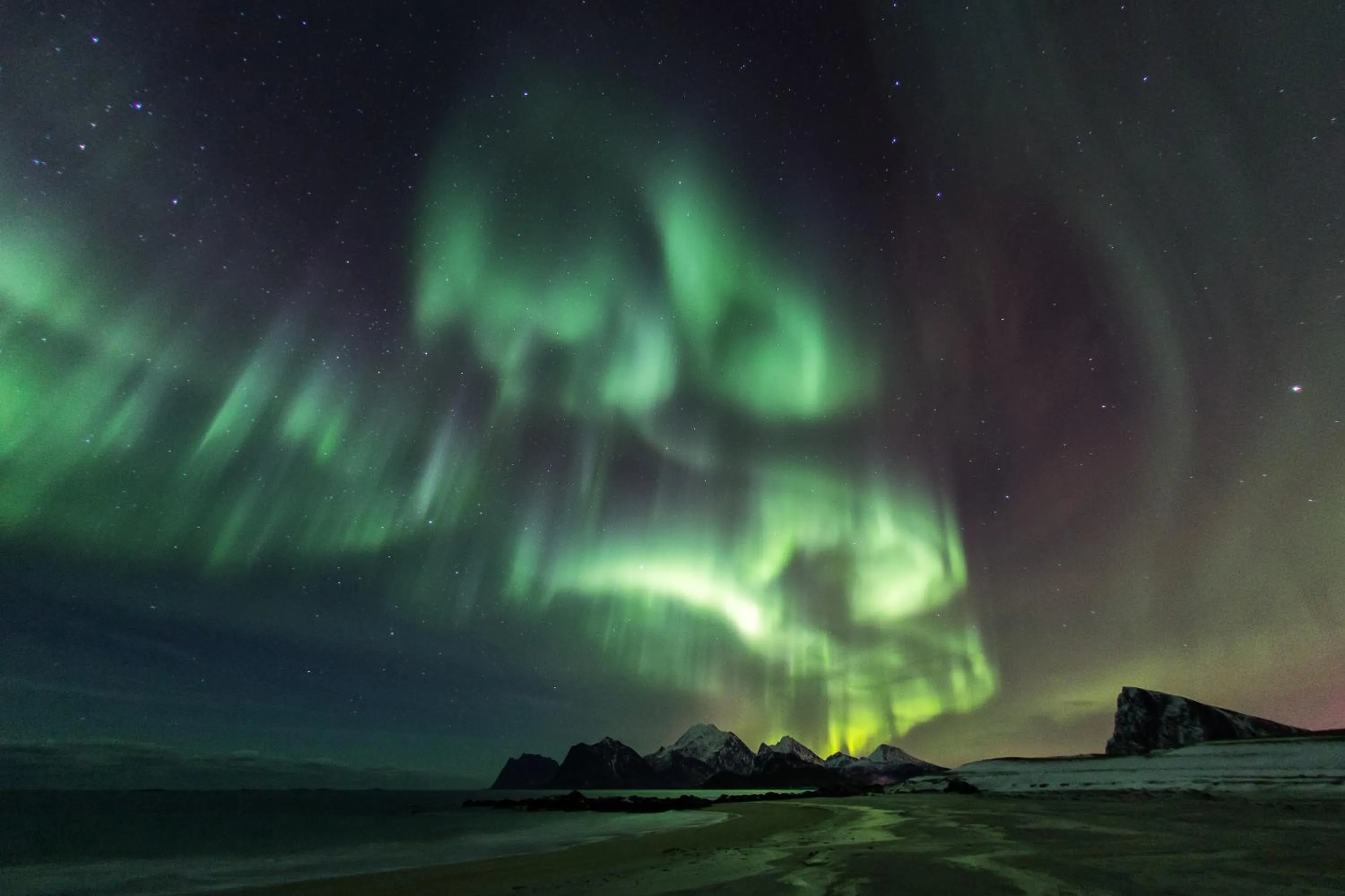 Lofoten panorama luxury home with sauna in Reine