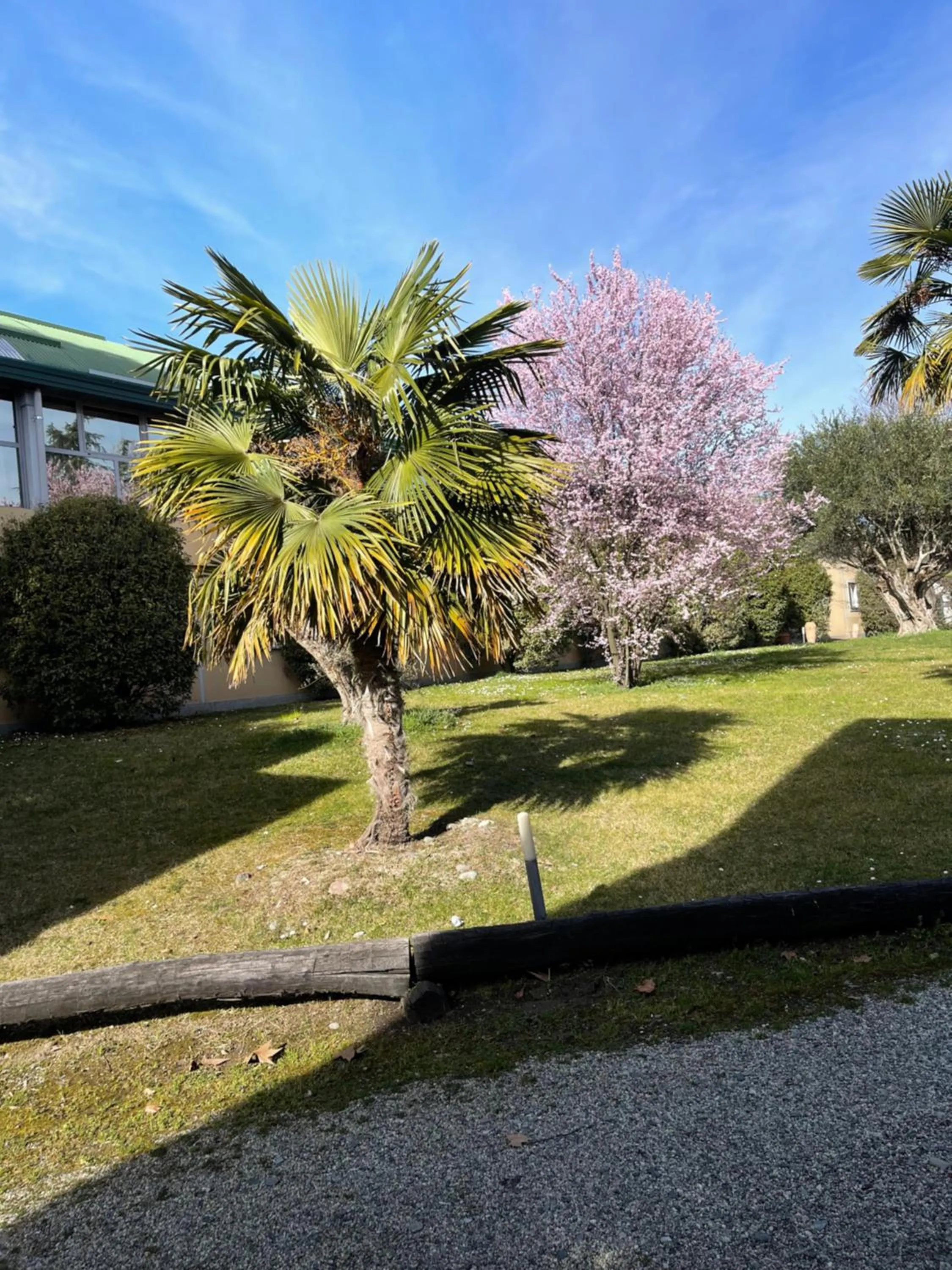 Natural landscape in Parco Hotel Sassi