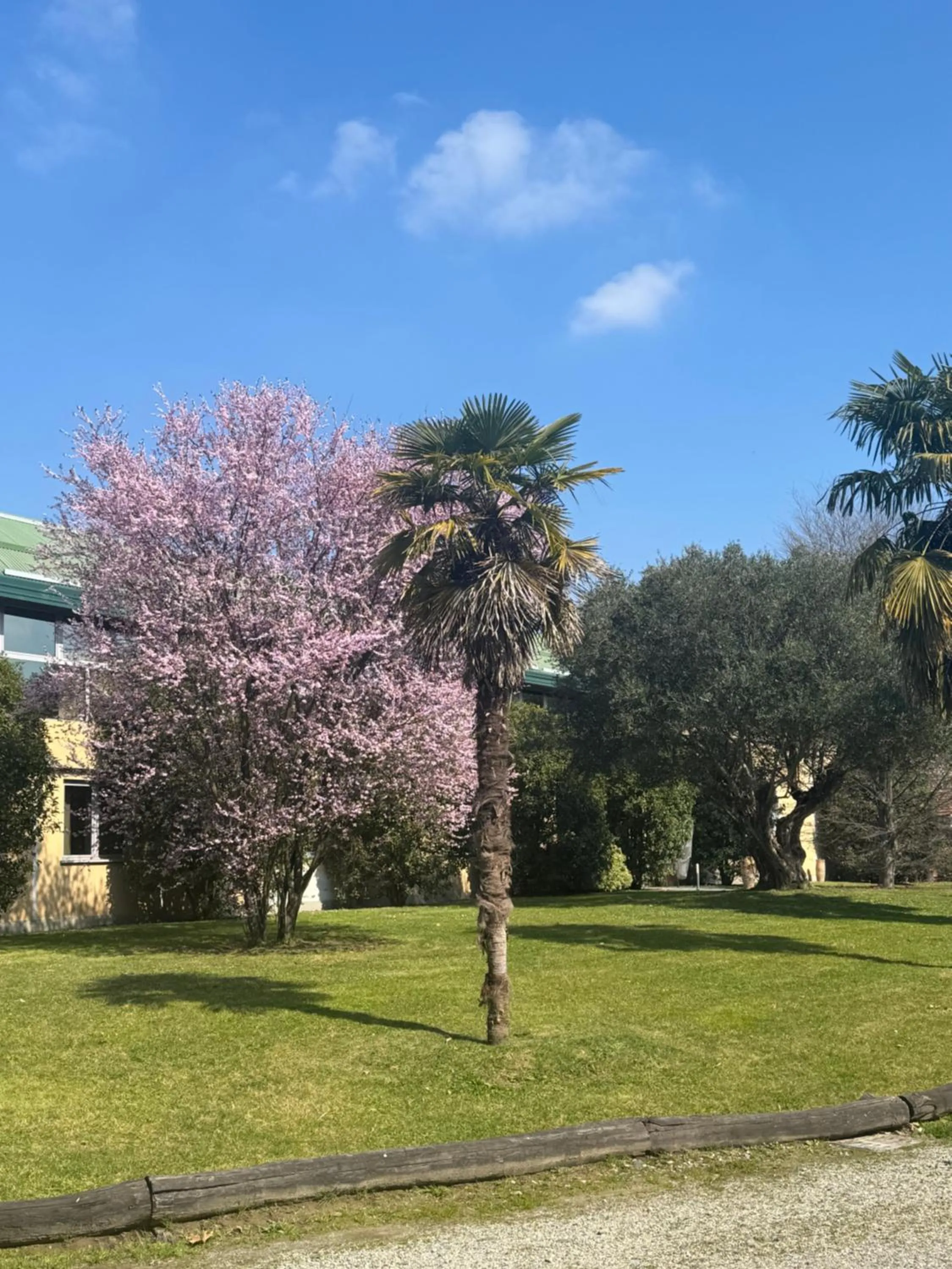 Property building in Parco Hotel Sassi