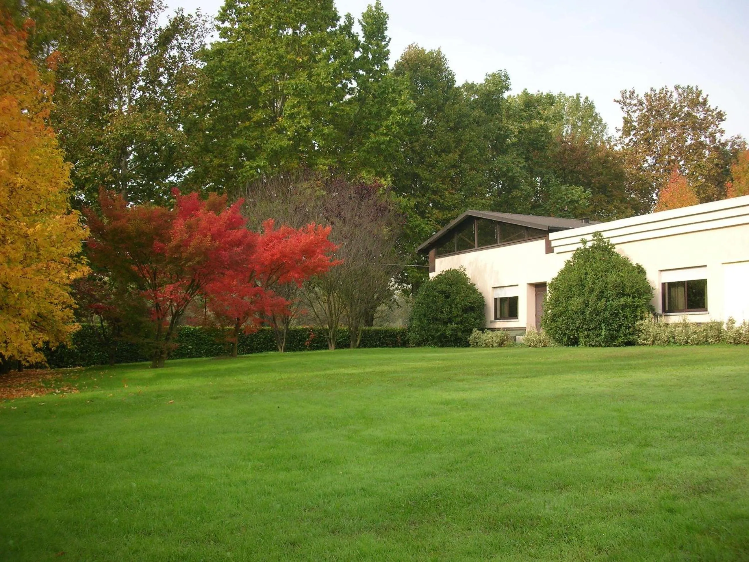 Garden in Parco Hotel Sassi