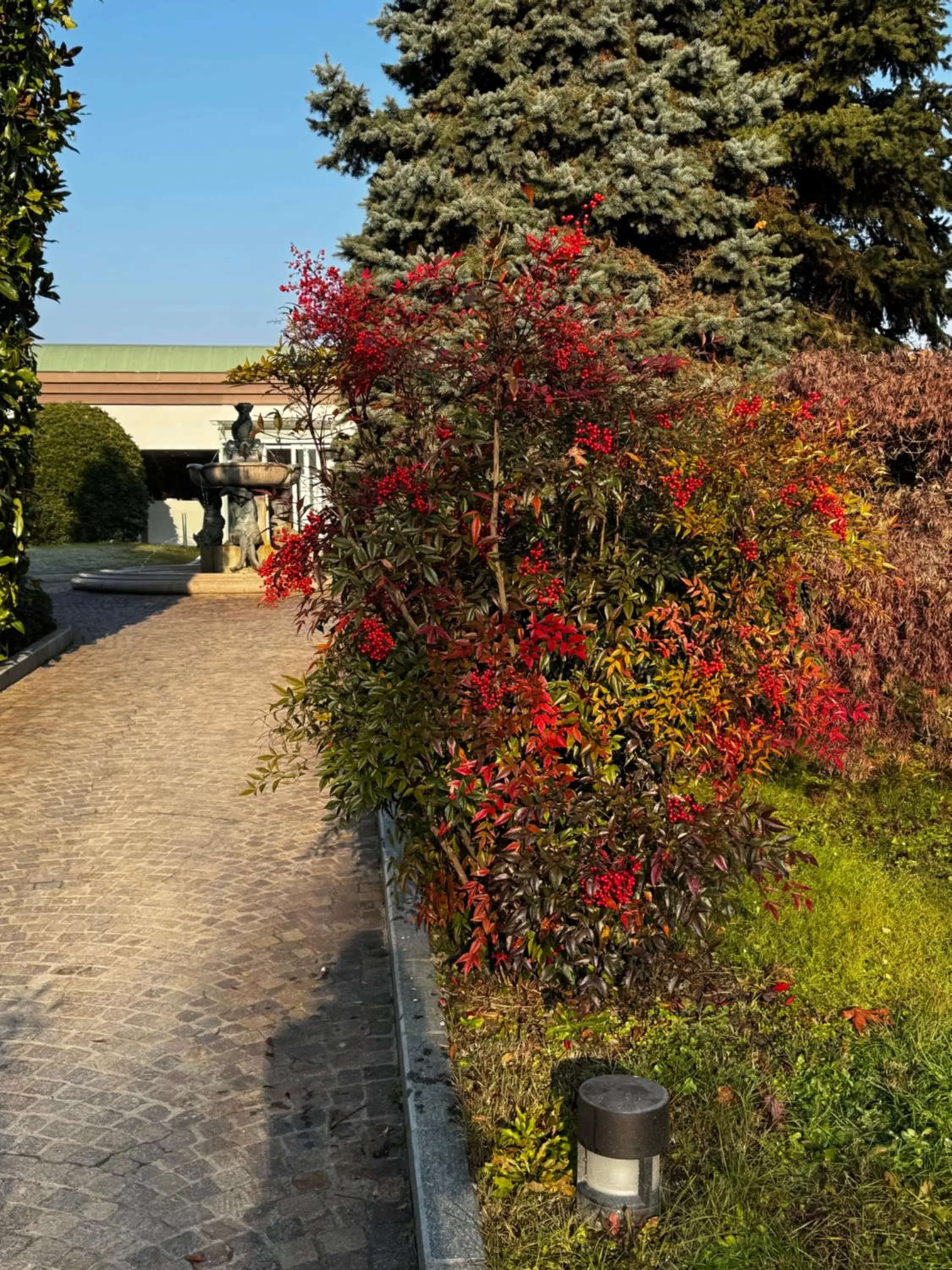 Garden in Parco Hotel Sassi